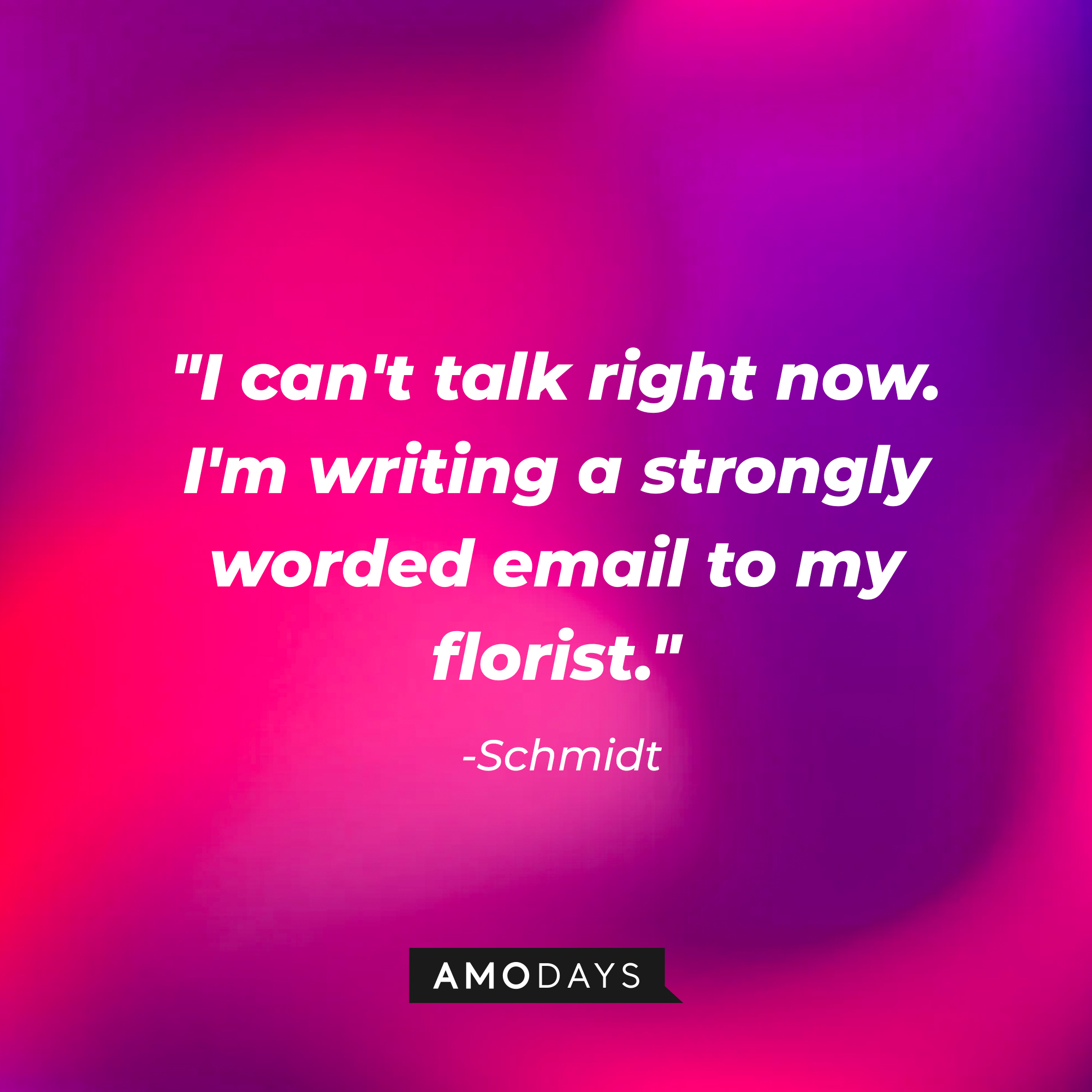 Schmidt's quote, "I can't talk right now. I'm writing a strongly worded email to my florist." | Source: Amodays