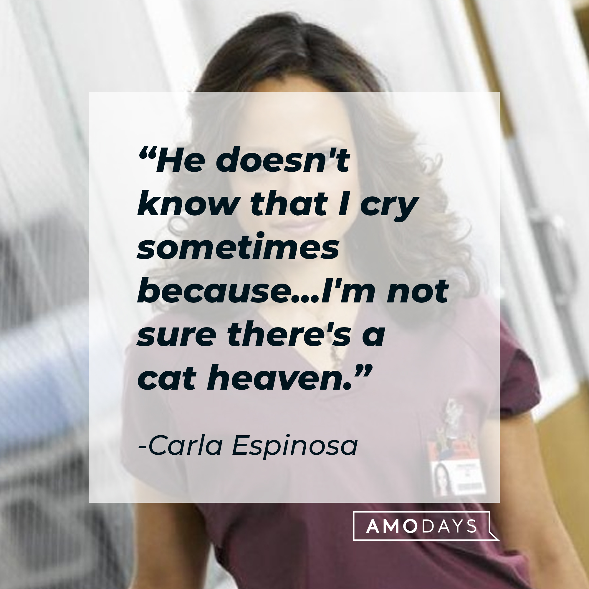 Carla Espinosa with her quote: “He doesn't know that I cry sometimes because... I'm not sure there's a cat heaven.” | Source: Facebook.com/scrubs
