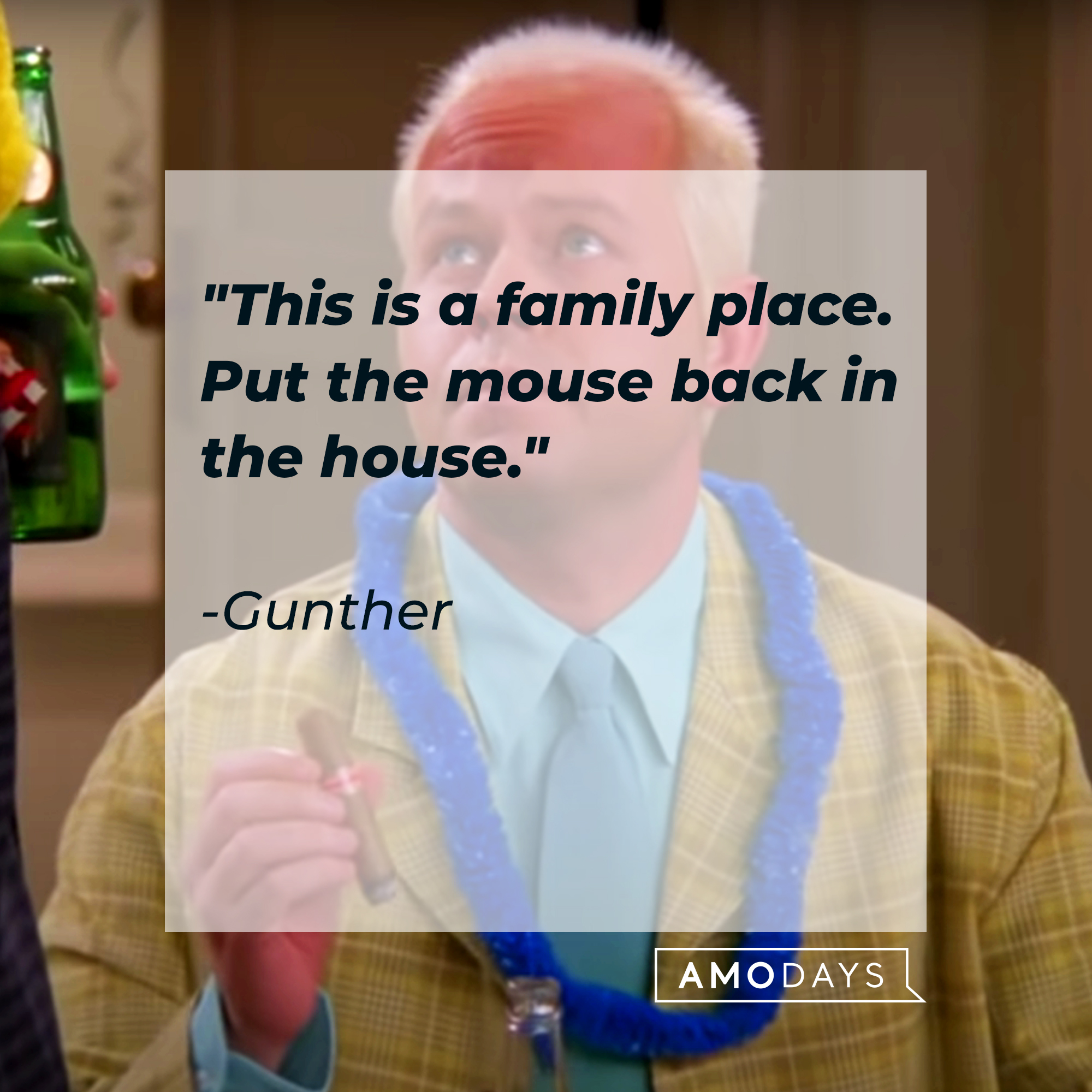 An image of Gunther, with his quote: "This is a family place. Put the mouse back in the house." | Source: Youtube.com/Friends