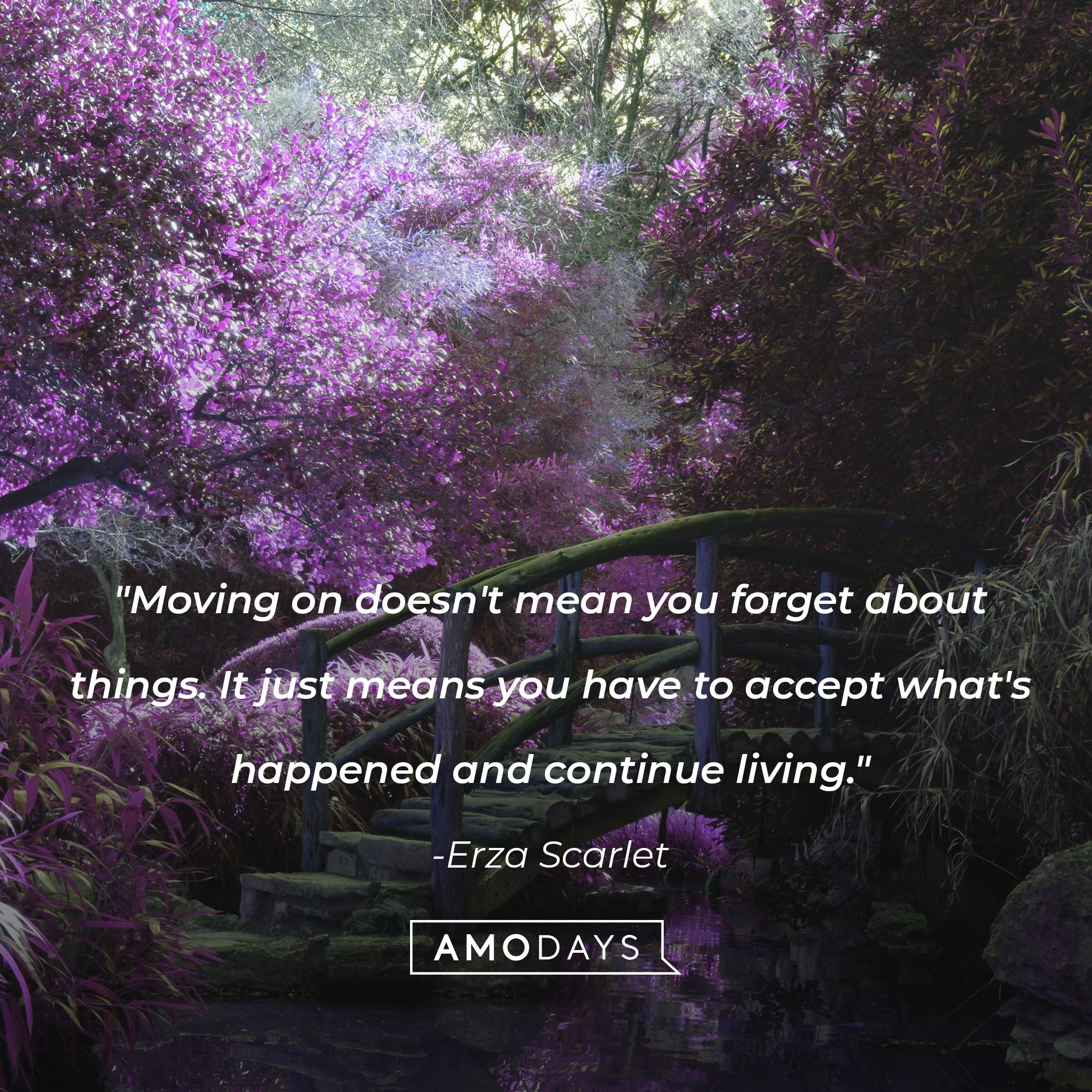 Erza Scarlet's quote: "Moving on doesn't mean you forget about things. It just means you have to accept what's happened and continue living." | Image: Unsplash