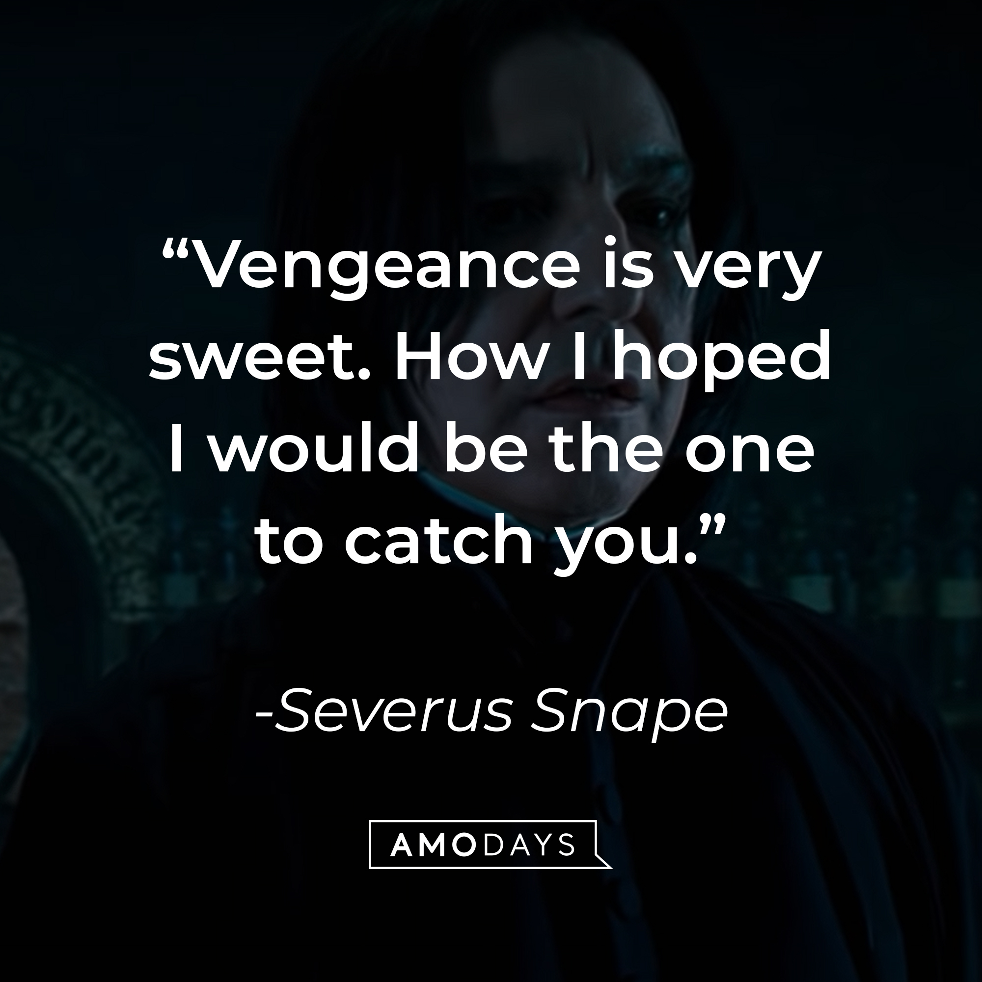 Severus Snape's quote: "Vengeance is very sweet. How I hoped I would be the one to catch you." | Source: YouTube/harrypotter