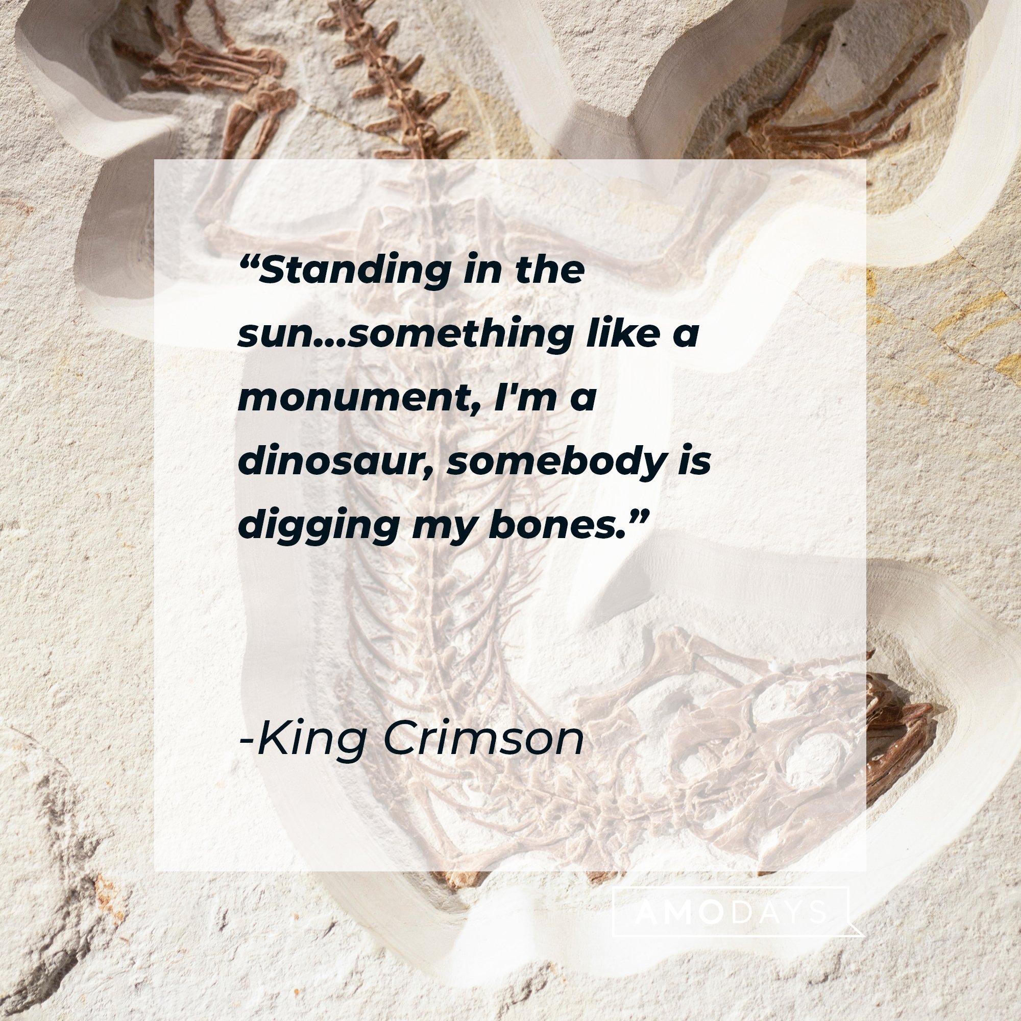 King Crimson’s quote: "Standing in the sun…something like a monument, I'm a dinosaur, somebody is digging my bones." | Image: AmoDays
