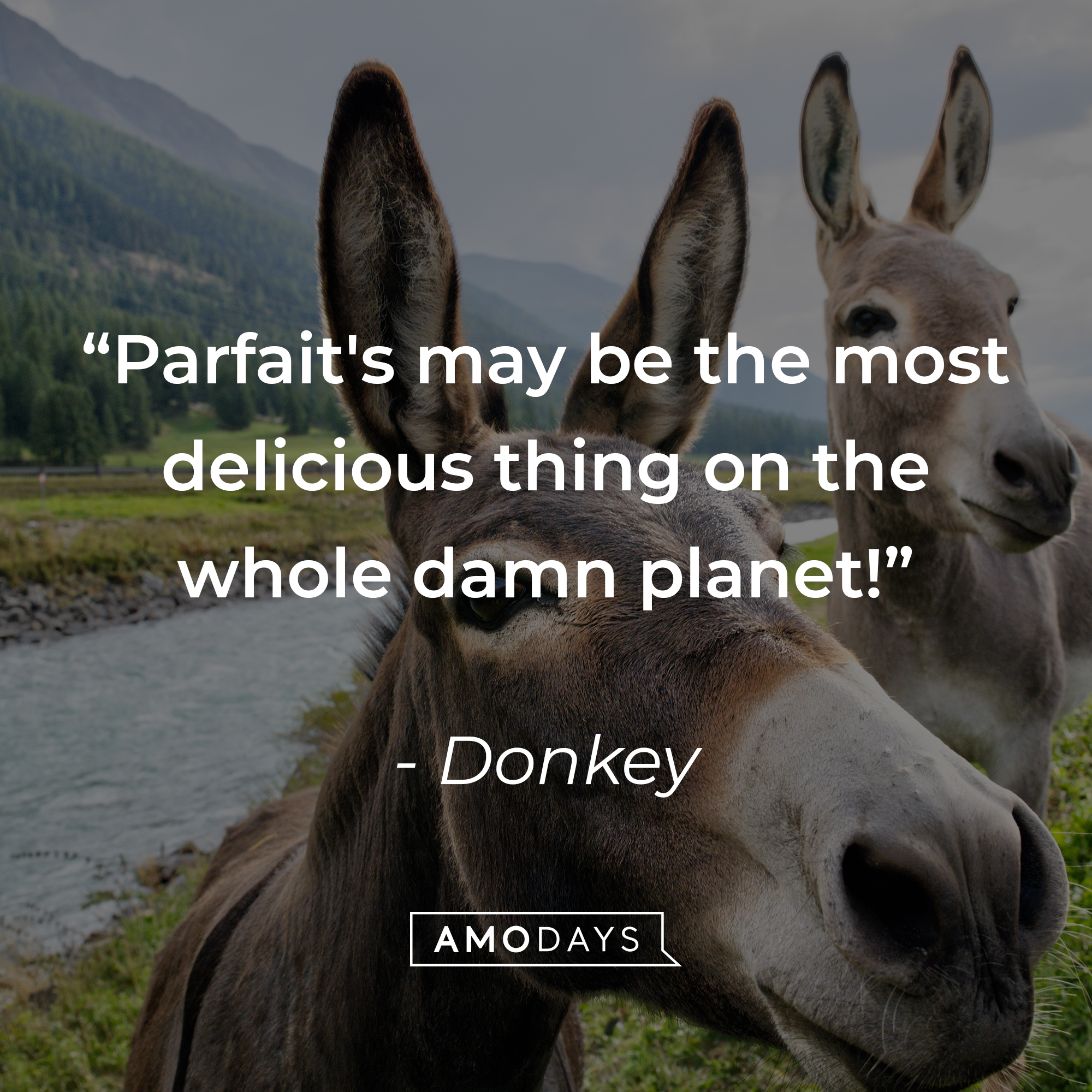 Donkey's quote: "Parfait's may be the most delicious thing on the whole damn planet!" | Source: Unsplash