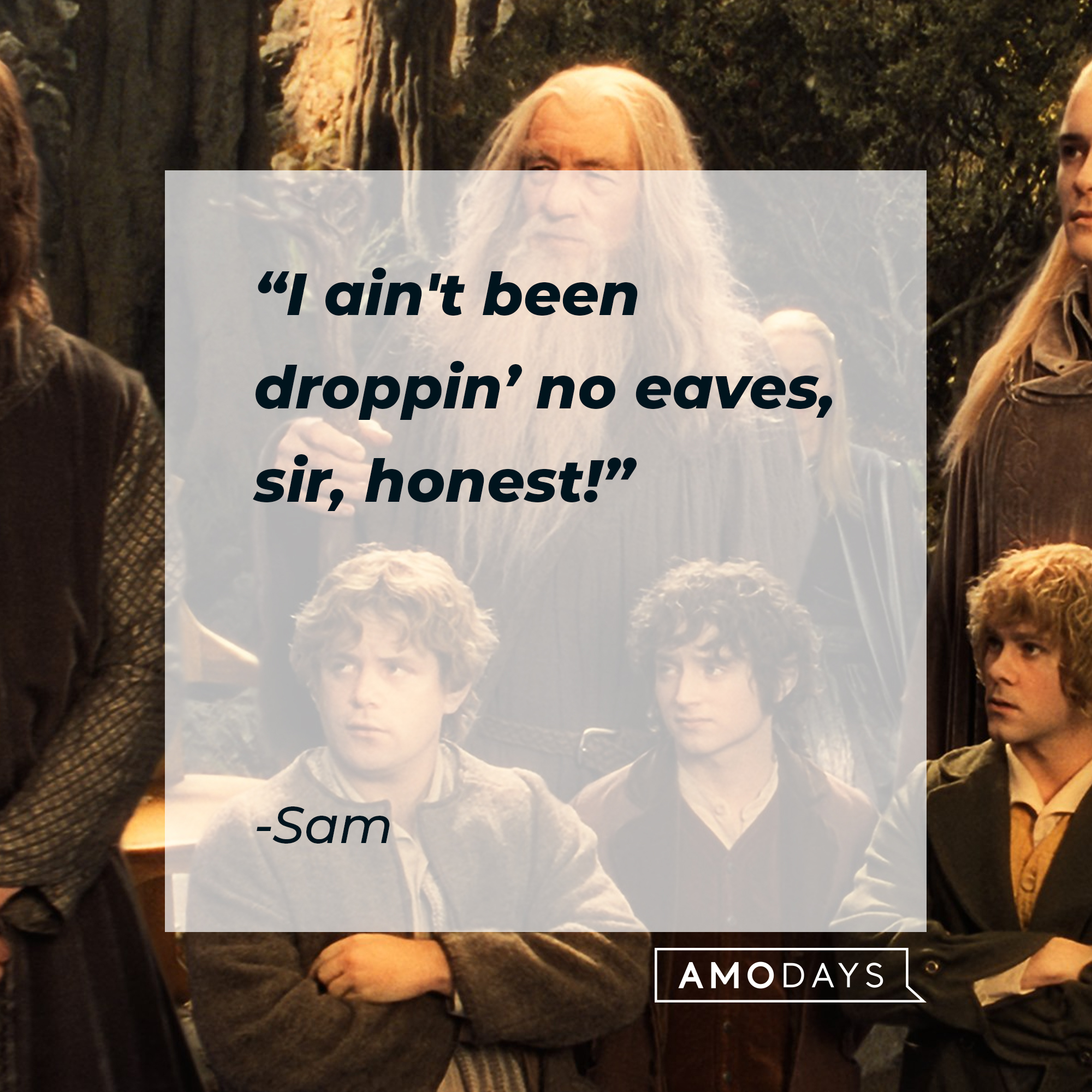 Sam's quote: "I ain't been droppin' no eaves, sir, honest!" | Source: facebook.com/lordoftheringstrilogy