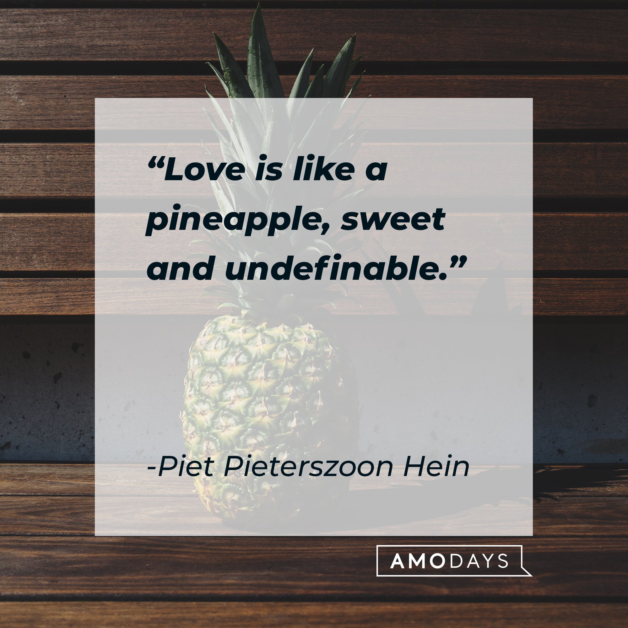 Piet Pieterszoon Hein's quote: "Love is like a pineapple, sweet and undefinable." | Image: AmoDays