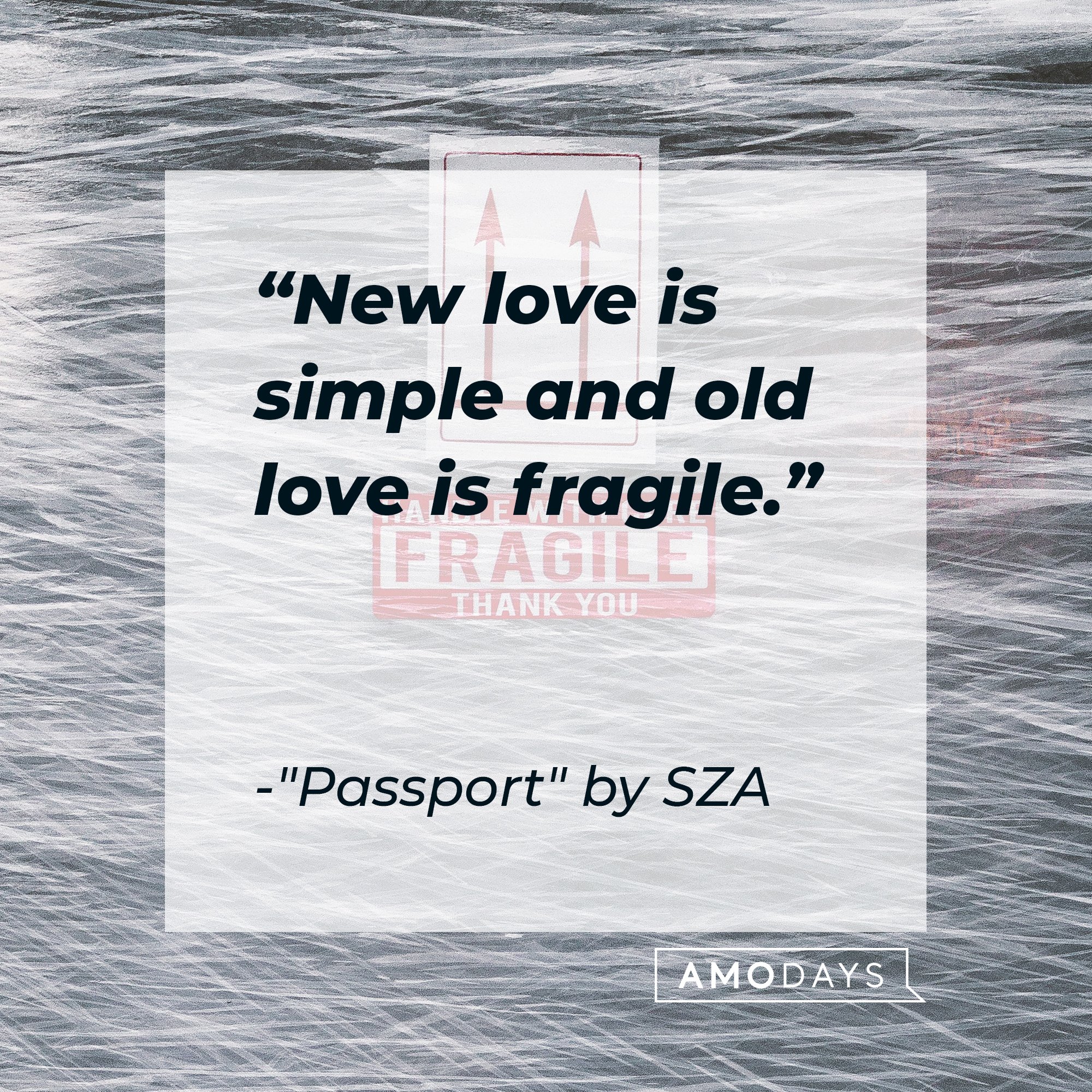 SZA’s quote from "Passport" : "New love is simple and old love is fragile." | Image: AmoDays