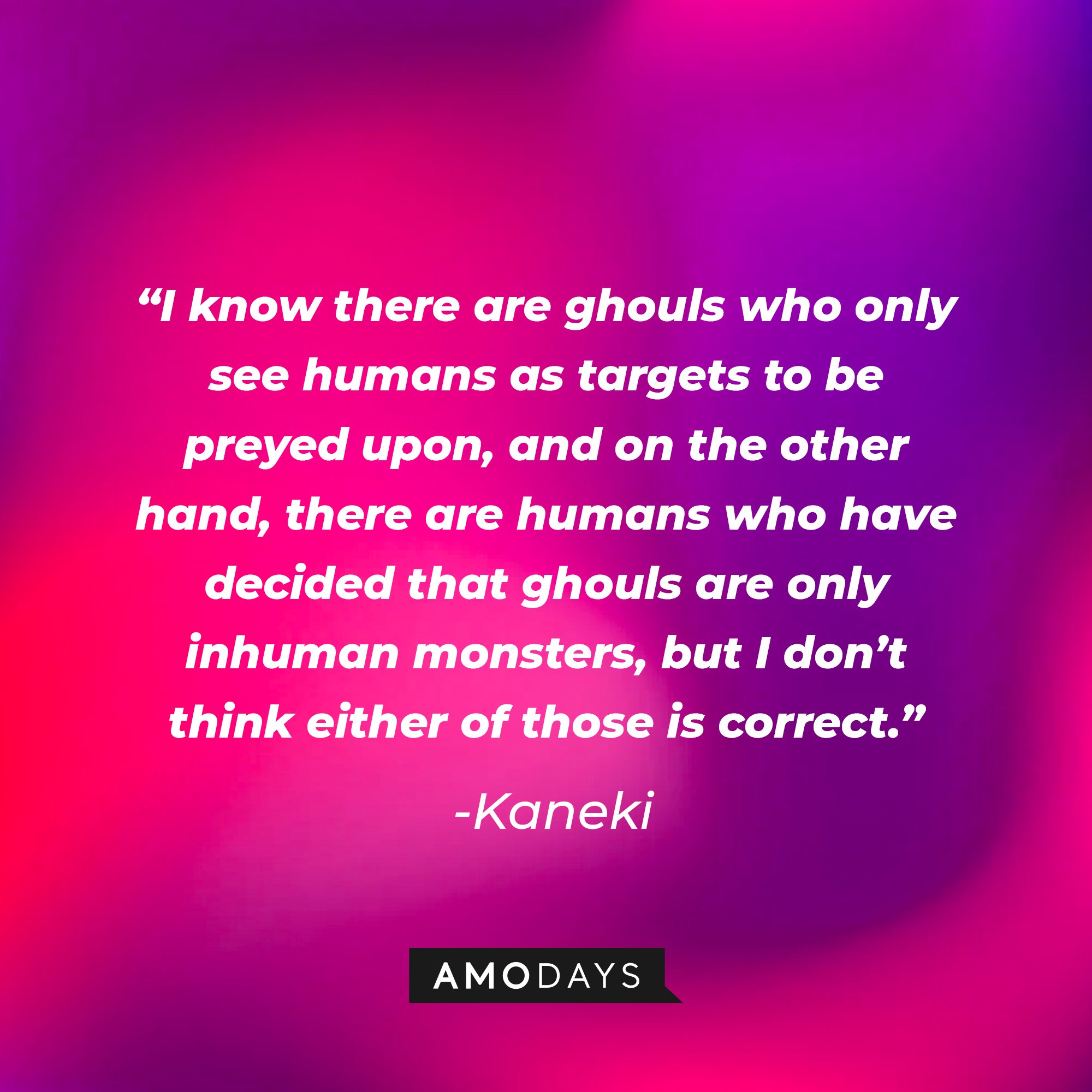 Kaneki's quote: “I know there are ghouls who only see humans as targets to be preyed upon, and on the other hand, there are humans who have decided that ghouls are only inhuman monsters, but I don’t think either of those is correct.” | Image: AmoDays
