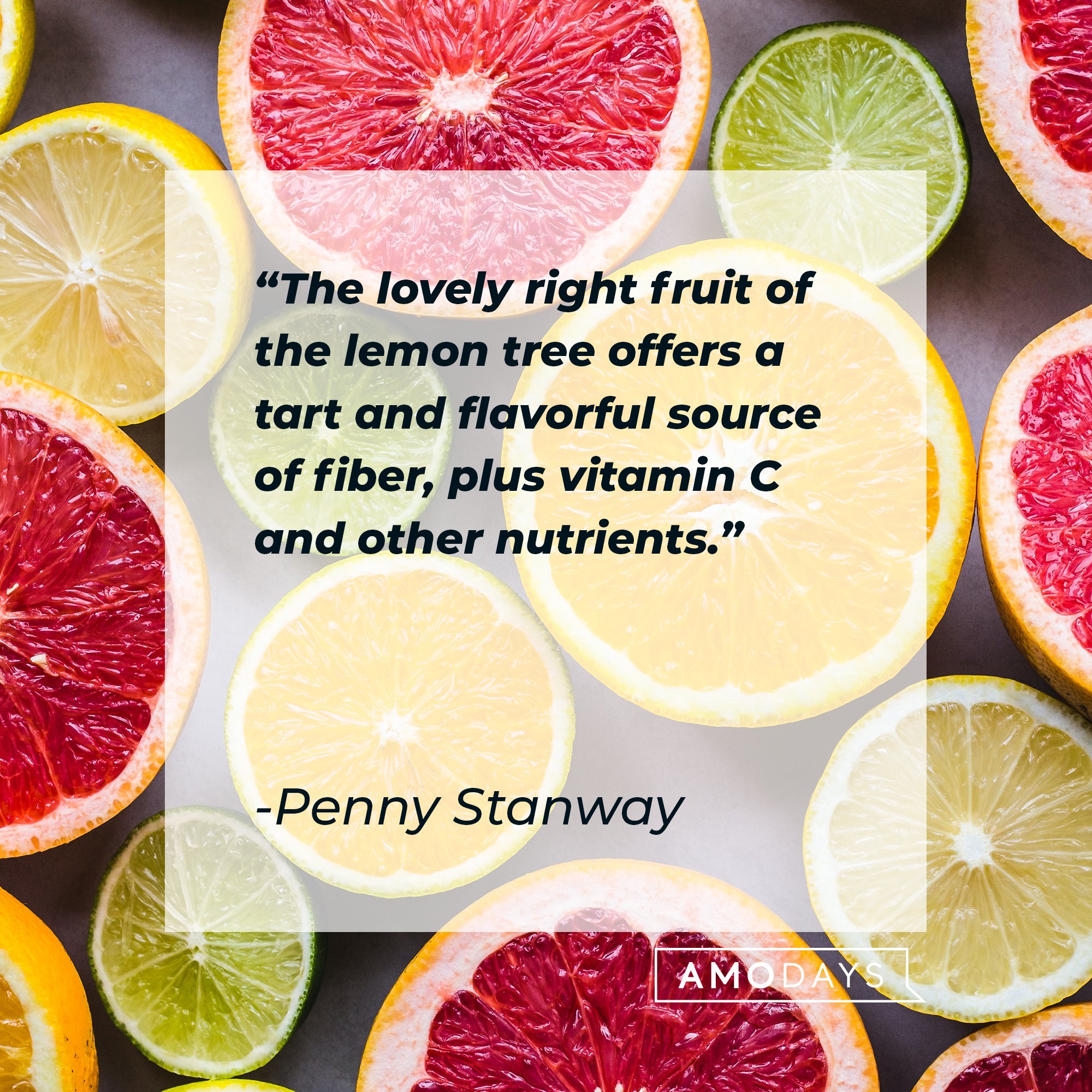 Penny Stanway’s quote: "The lovely right fruit of the lemon tree offers a tart and flavorful source of fiber, plus vitamin C and other nutrients." | Image: AmoDays 