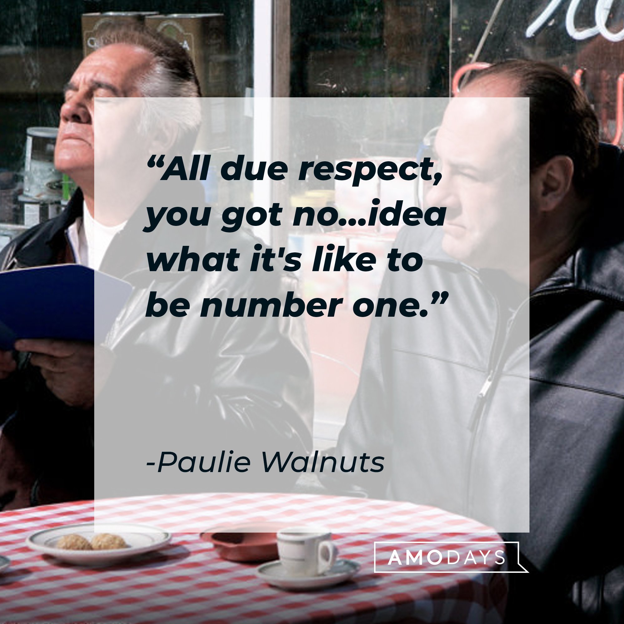 Paulie Walnuts' quote: "All due respect, you got no…idea what it's like to be number one." | Image: AmoDays 