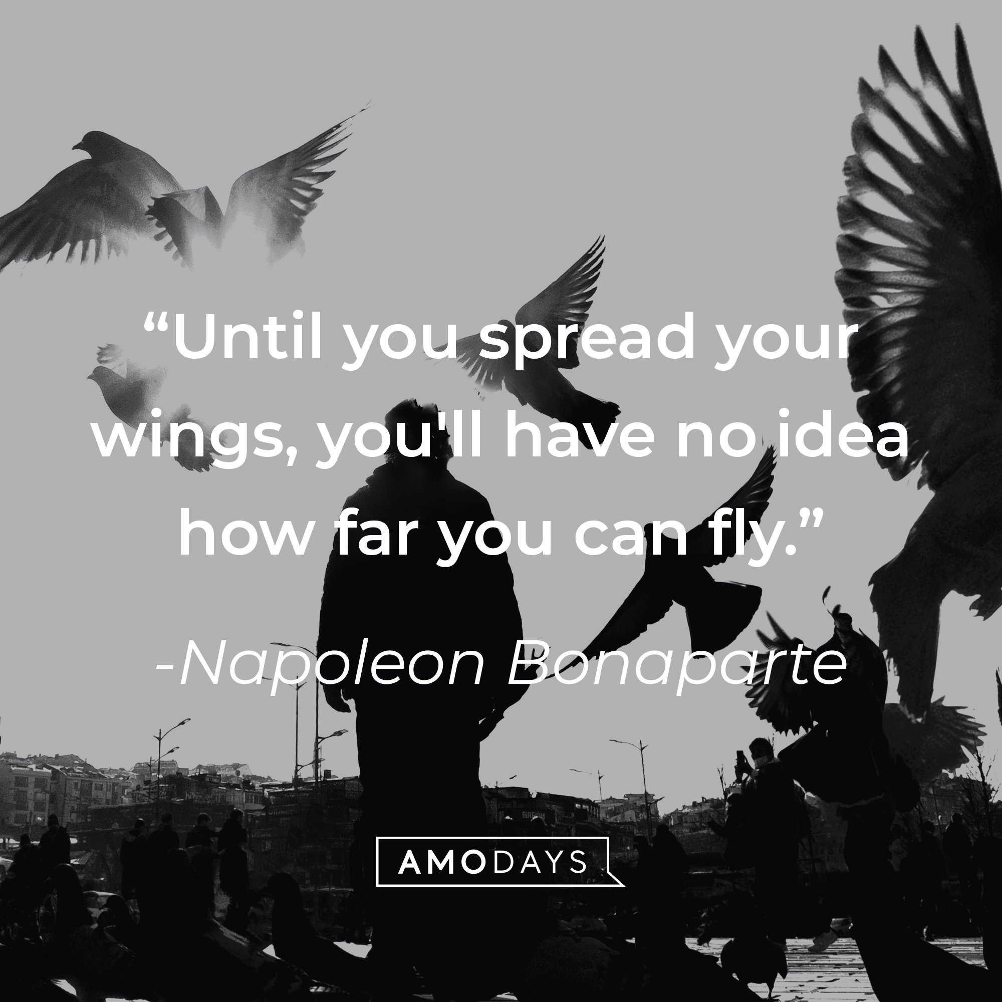 Napoleon Bonaparte's quote: "Until you spread your wings, you'll have no idea how far you can fly." | Image: AmoDays