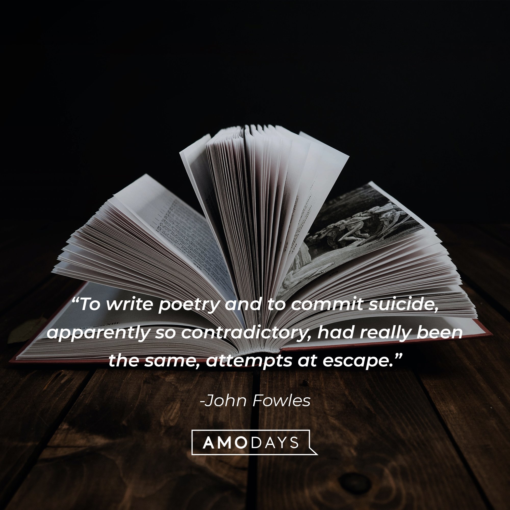 John Fowles's quote:  “To write poetry and to commit suicide, apparently so contradictory, had really been the same, attempts at escape.” | Image: AmoDays