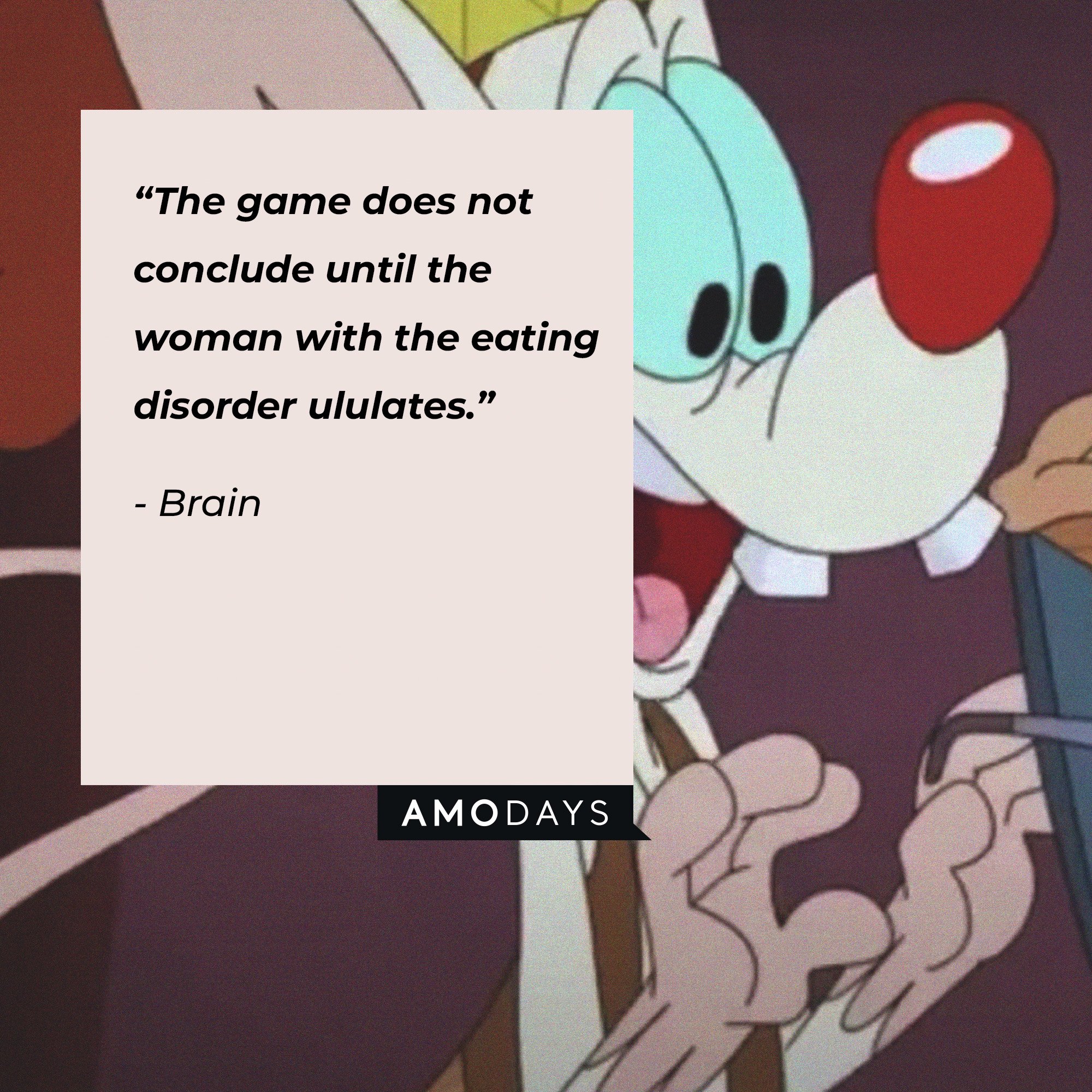  Brain's quote: “The game does not conclude until the woman with the eating disorder ululates.” | Image: AmoDays
