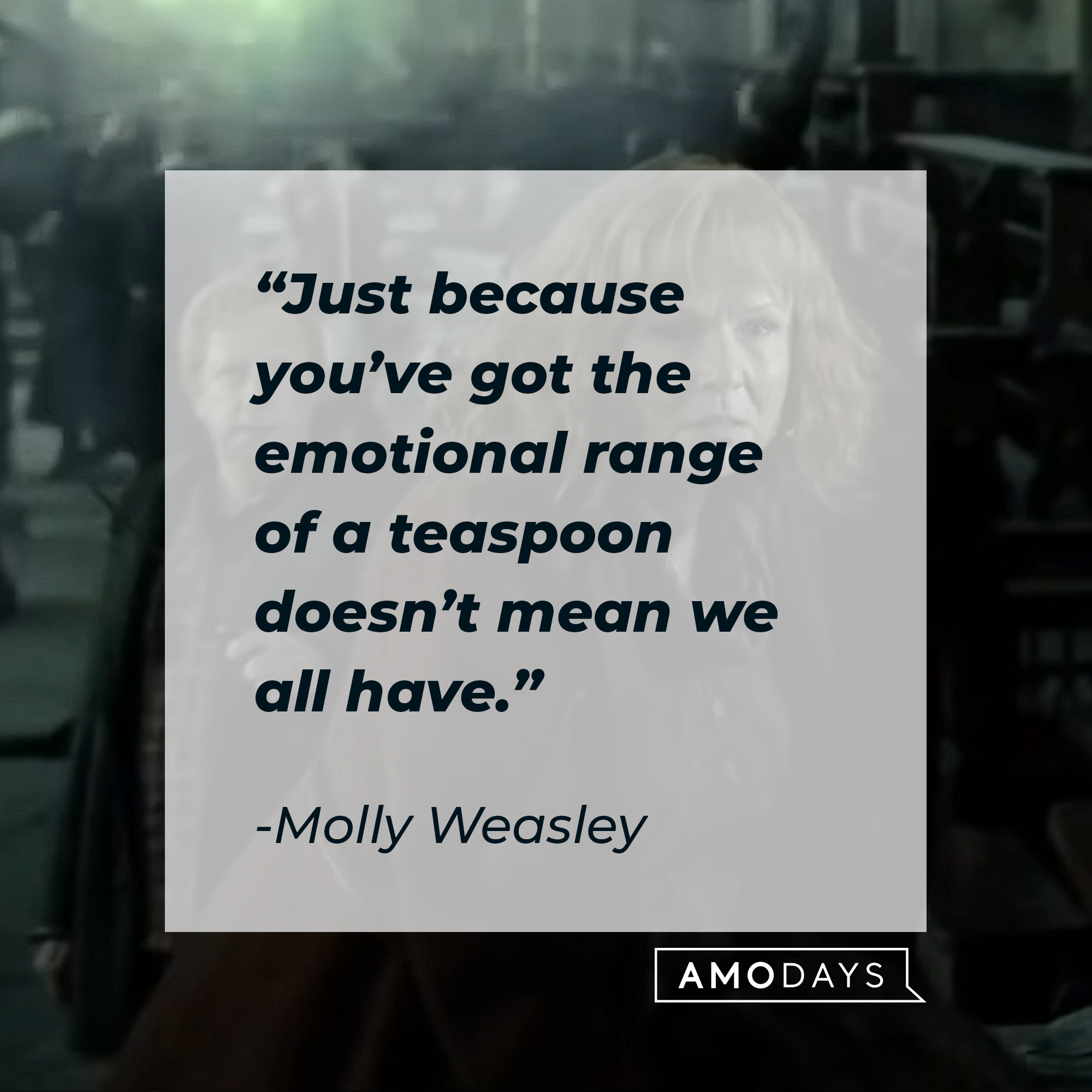 Molly Weasley's quote: "Just because you’ve got the emotional range of a teaspoon doesn’t mean we all have." | Source: Youtube.com/harrypotter