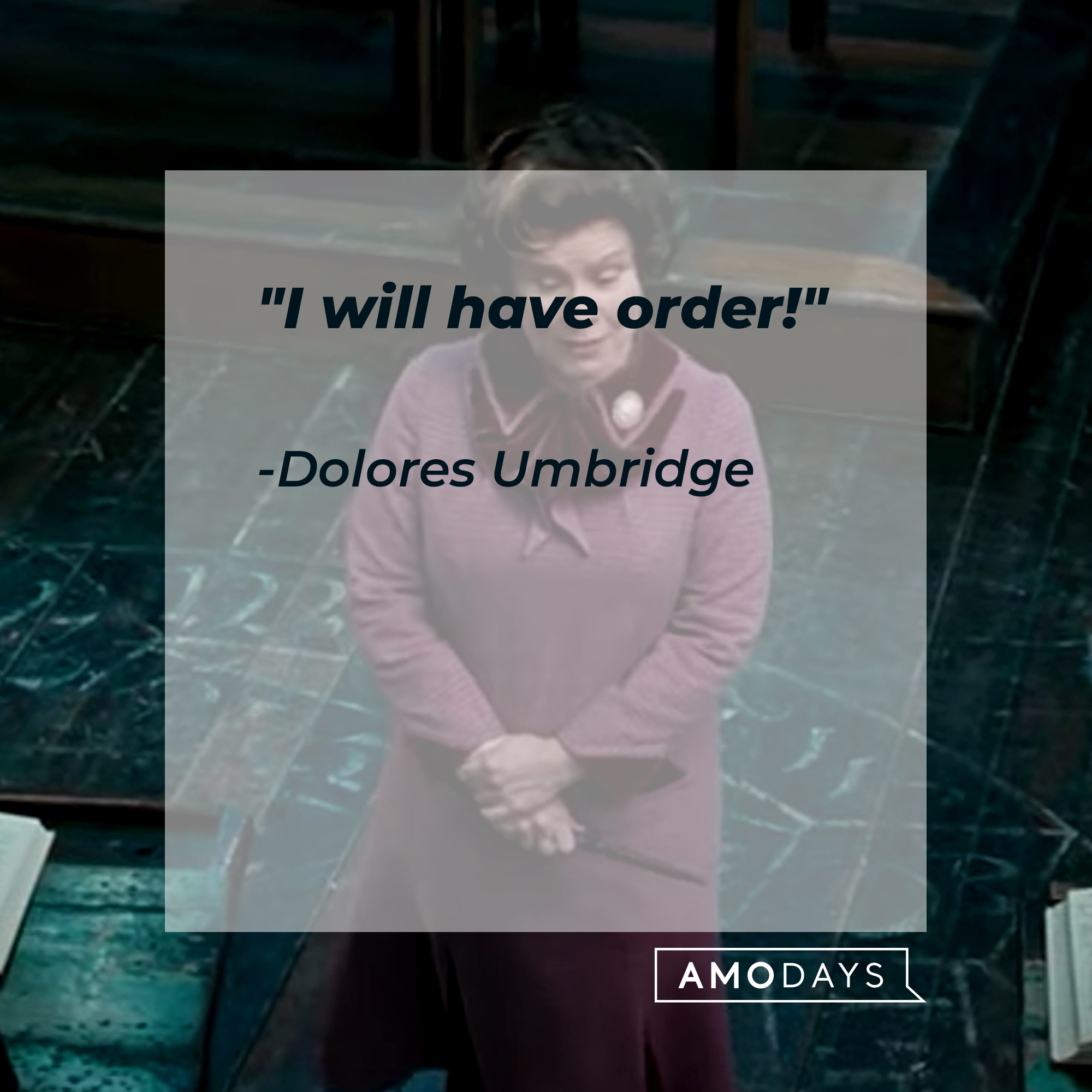 A photo of Dolores Umbridge with the quote, "I will have order!" | Source: Facebook/harrypotter
