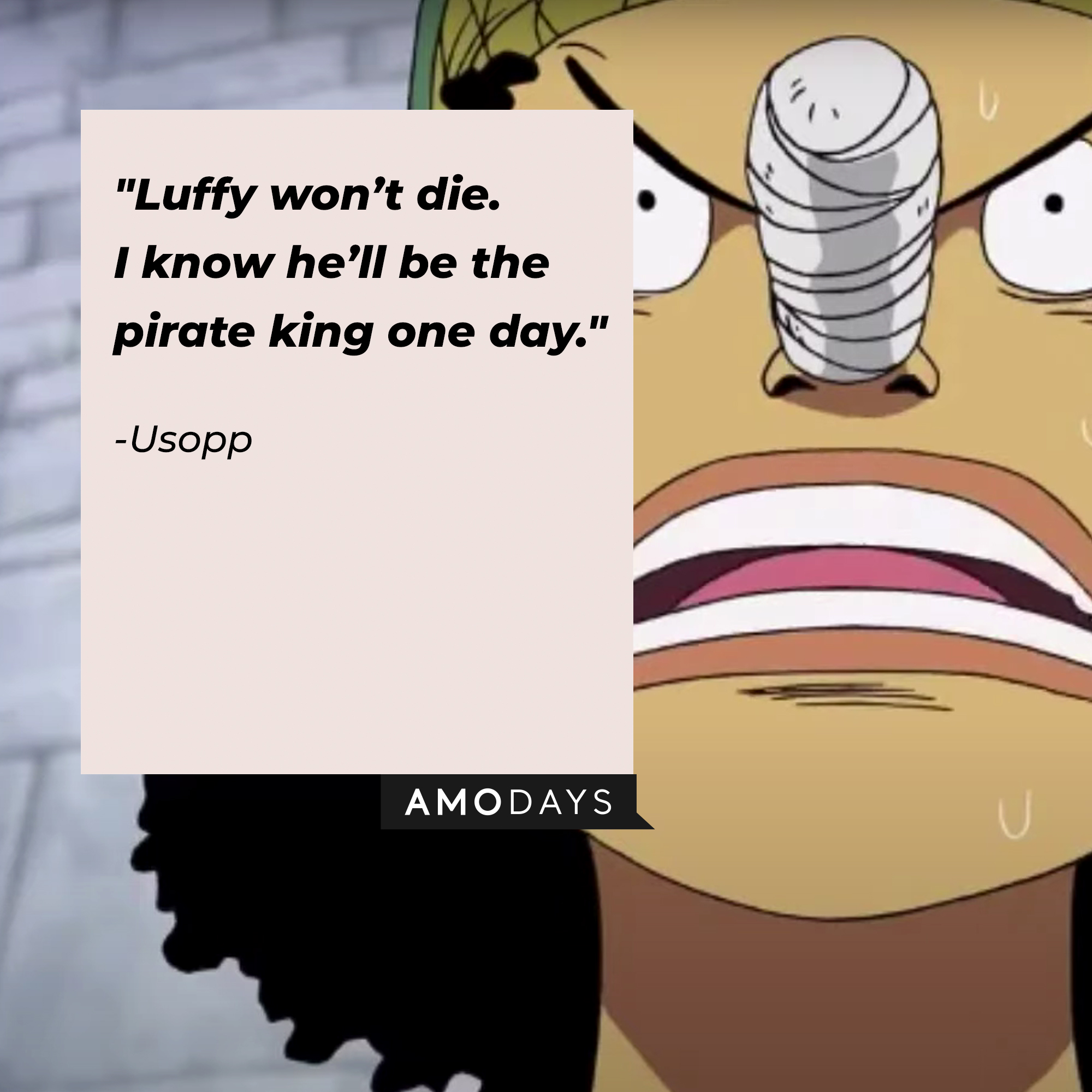 Usopp, with his quote:  “Luffy won’t die. I know he’ll be the pirate king one day.” |  Source: facebook.com/onepieceofficial