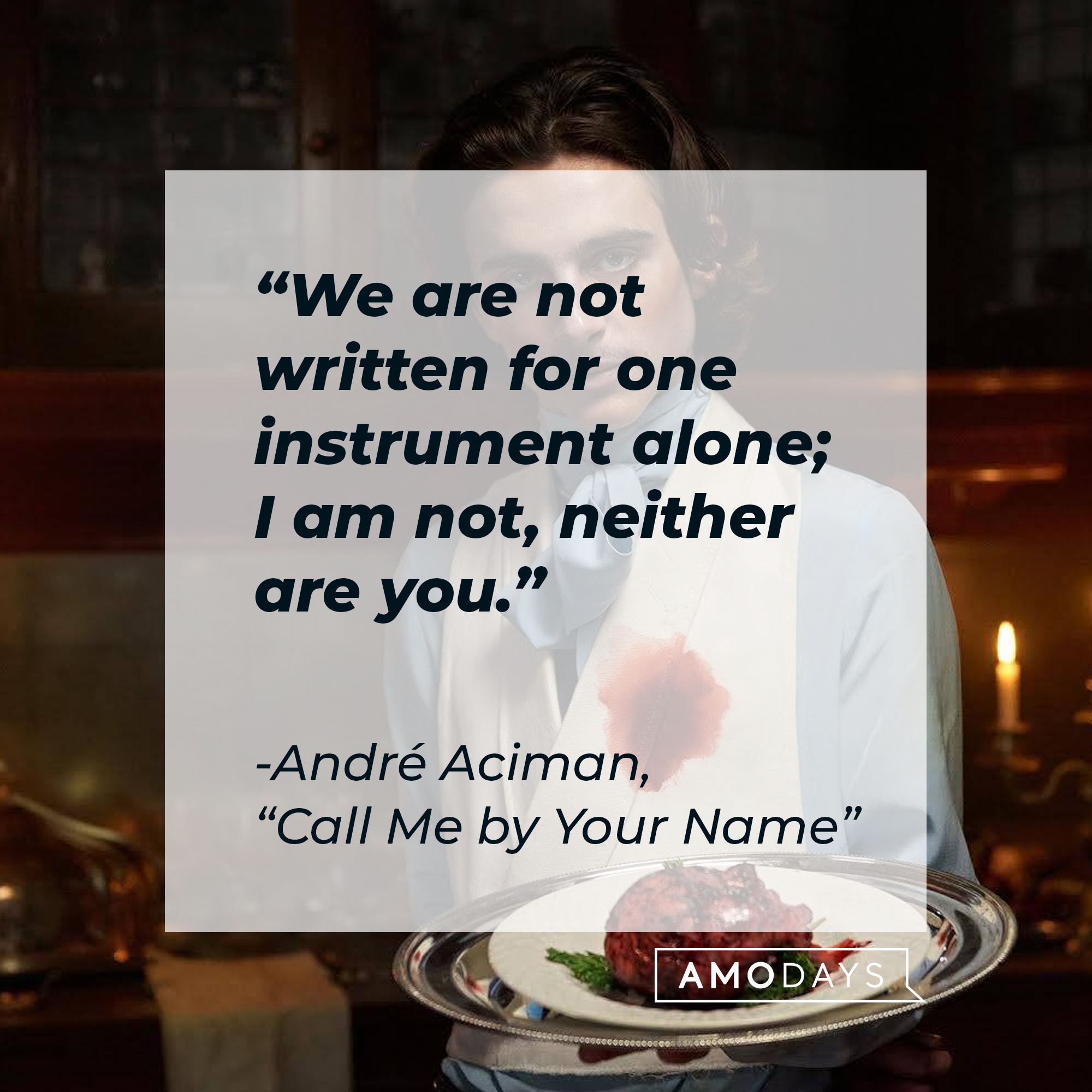 The character Elio from the film “Call Me By Your Name,” with a quote by the author, André Aciman, from the book it’s based on: “We are not written for one instrument alone; I am not, neither are you.” | Source: Facebook.com/CallMeByYourNameFilm