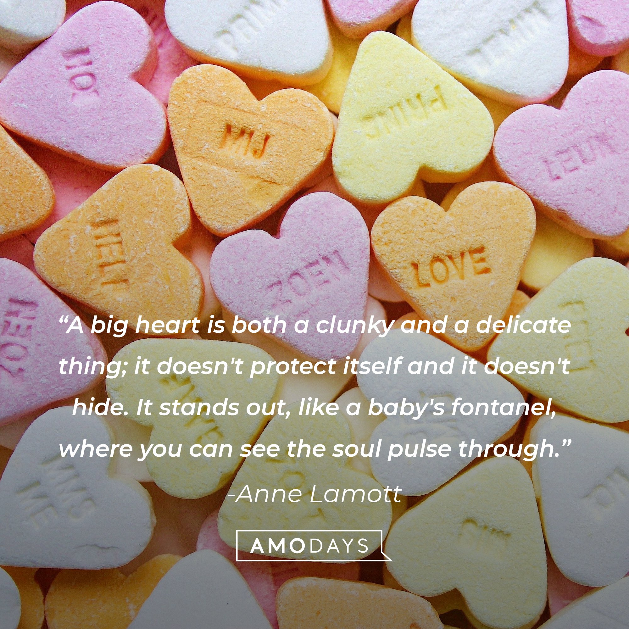 Anne Lamott's quote: "A big heart is both a clunky and a delicate thing; it doesn't protect itself and it doesn't hide. It stands out, like a baby's fontanel, where you can see the soul pulse through." | Image: AmoDays
