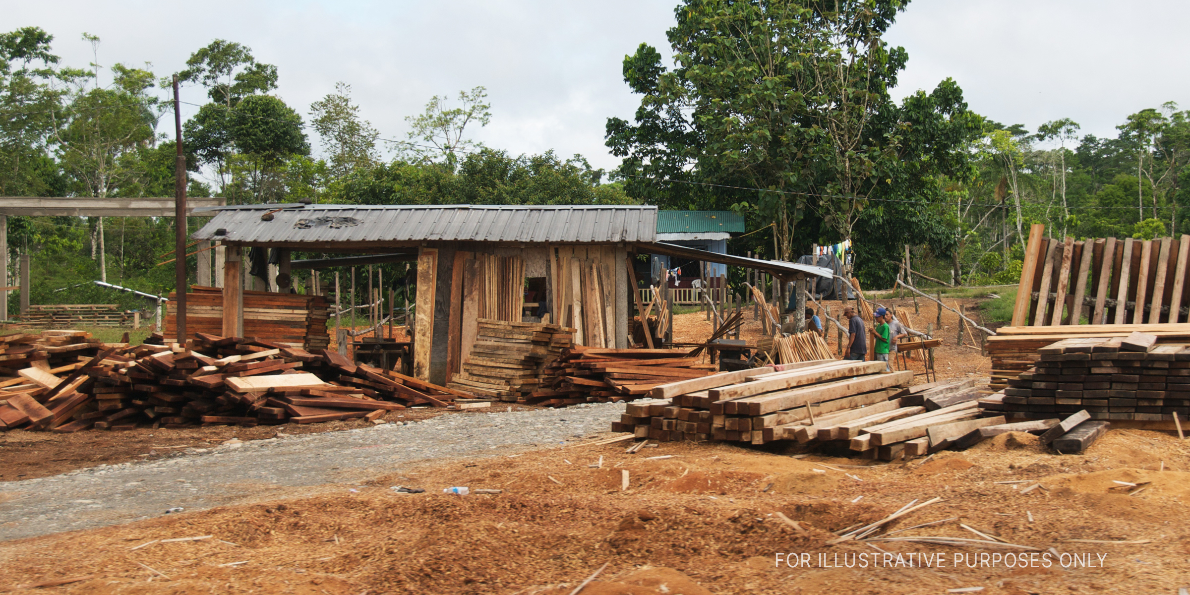 A sawmill | Source: Flickr / A.Davey (CC BY 2.0)