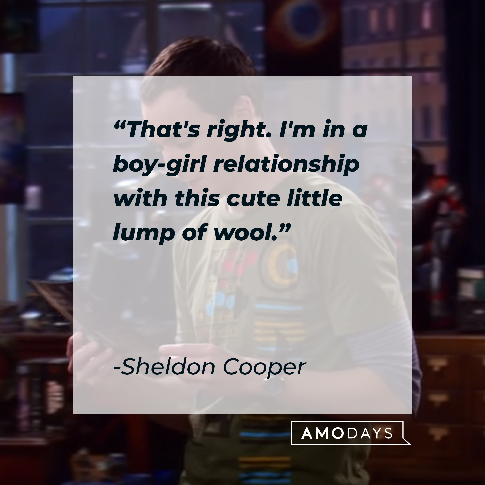 Sheldon Cooper's quote: "That's right. I'm in a boy-girl relationship with this cute little lump of wool." | Source: youtube.com/warnerbrostv