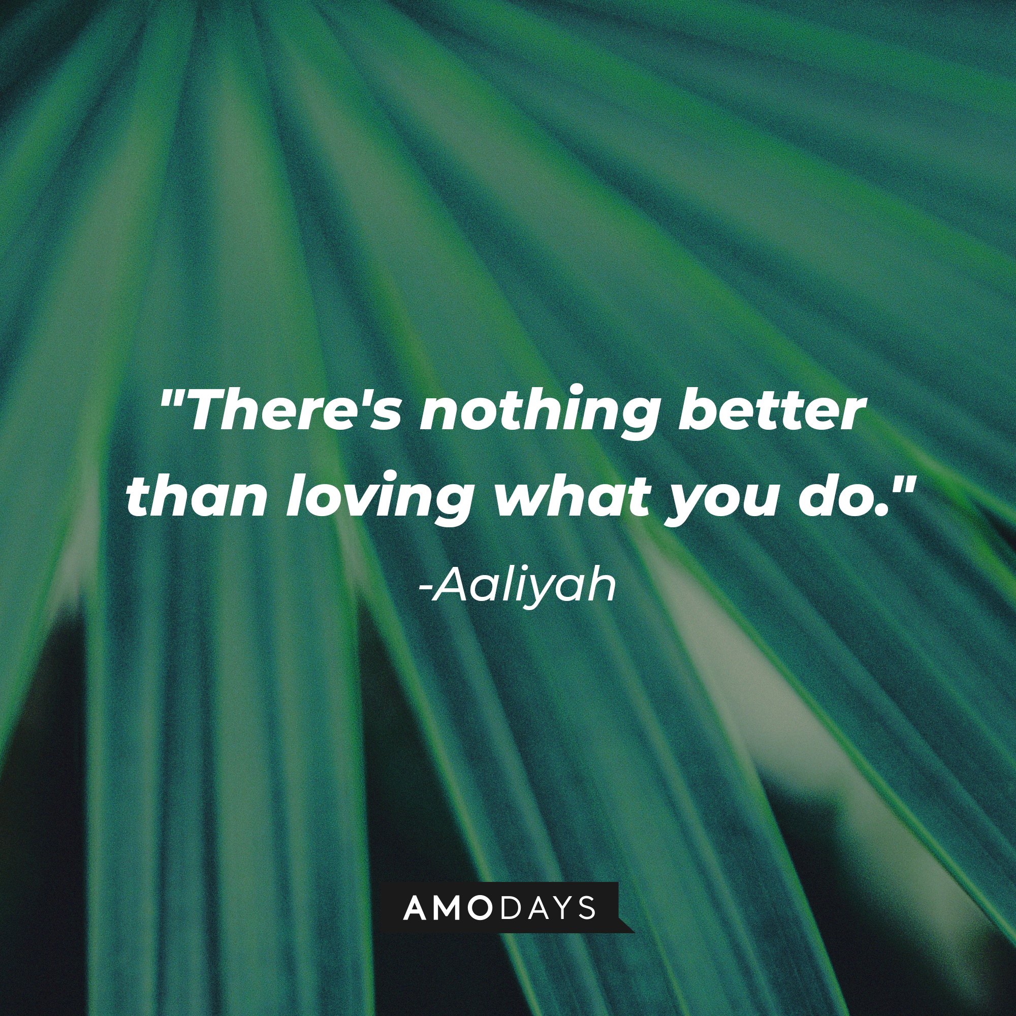 Aaliyah’s quote: "There's nothing better than loving what you do."  | Image: AmoDays