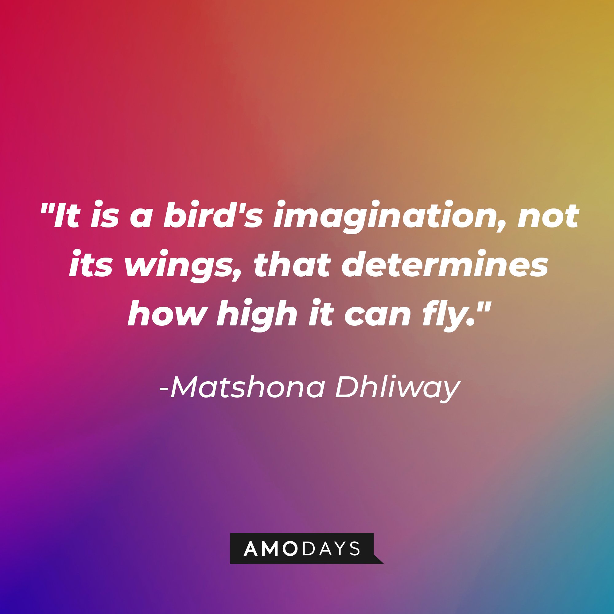  Matshona Dhliway’s quote: "It is a bird's imagination, not its wings, that determines how high it can fly." | Image: AmoDays