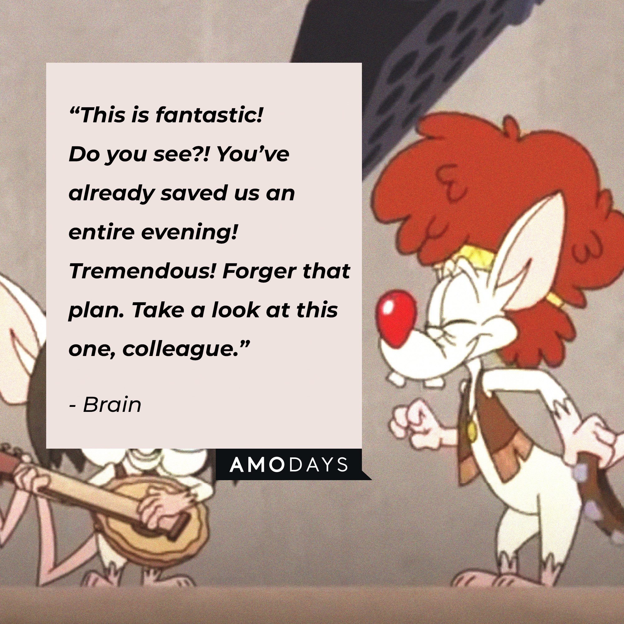 Brain's quote: “This is fantastic! Do you see?! You’ve already saved us an entire evening! Tremendous! Forger that plan. Take a look at this one, colleague.” | Image: AmoDays