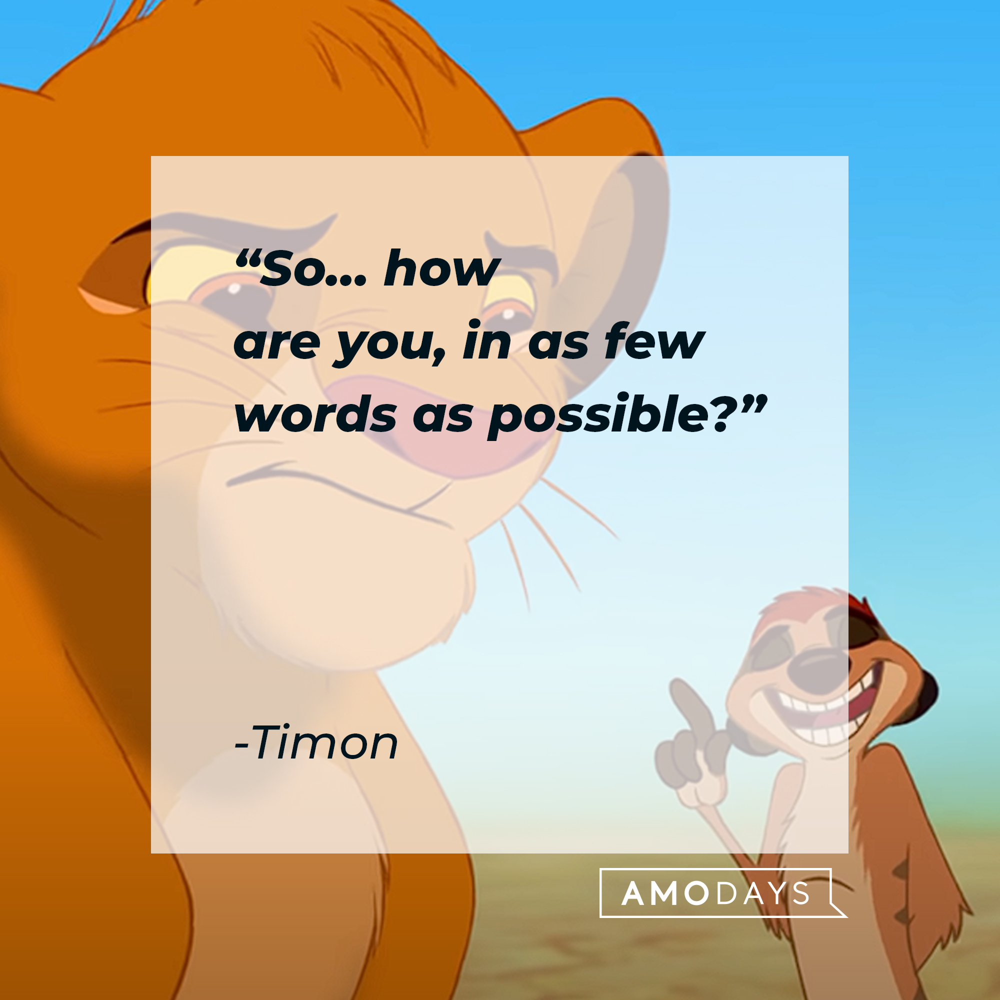 Simba and Timon,  with Timon’s quote: “So… how are you, in as few words as possible?” | Source:  youtube.com/disneyfr