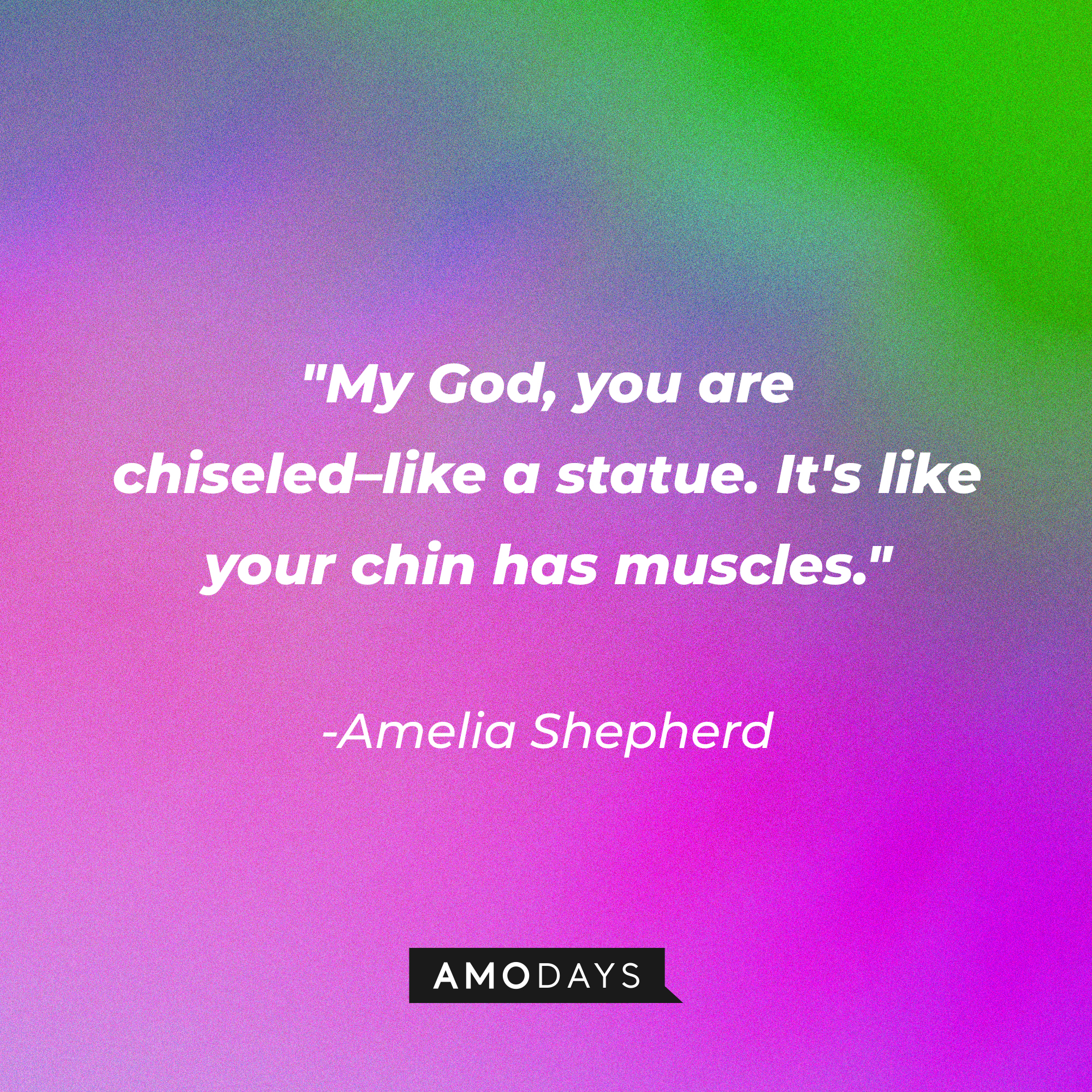 Amelia Shepherd's quote: "My God, you are chiseled–like a statue. It's like your chin has muscles." | Source: AmoDays