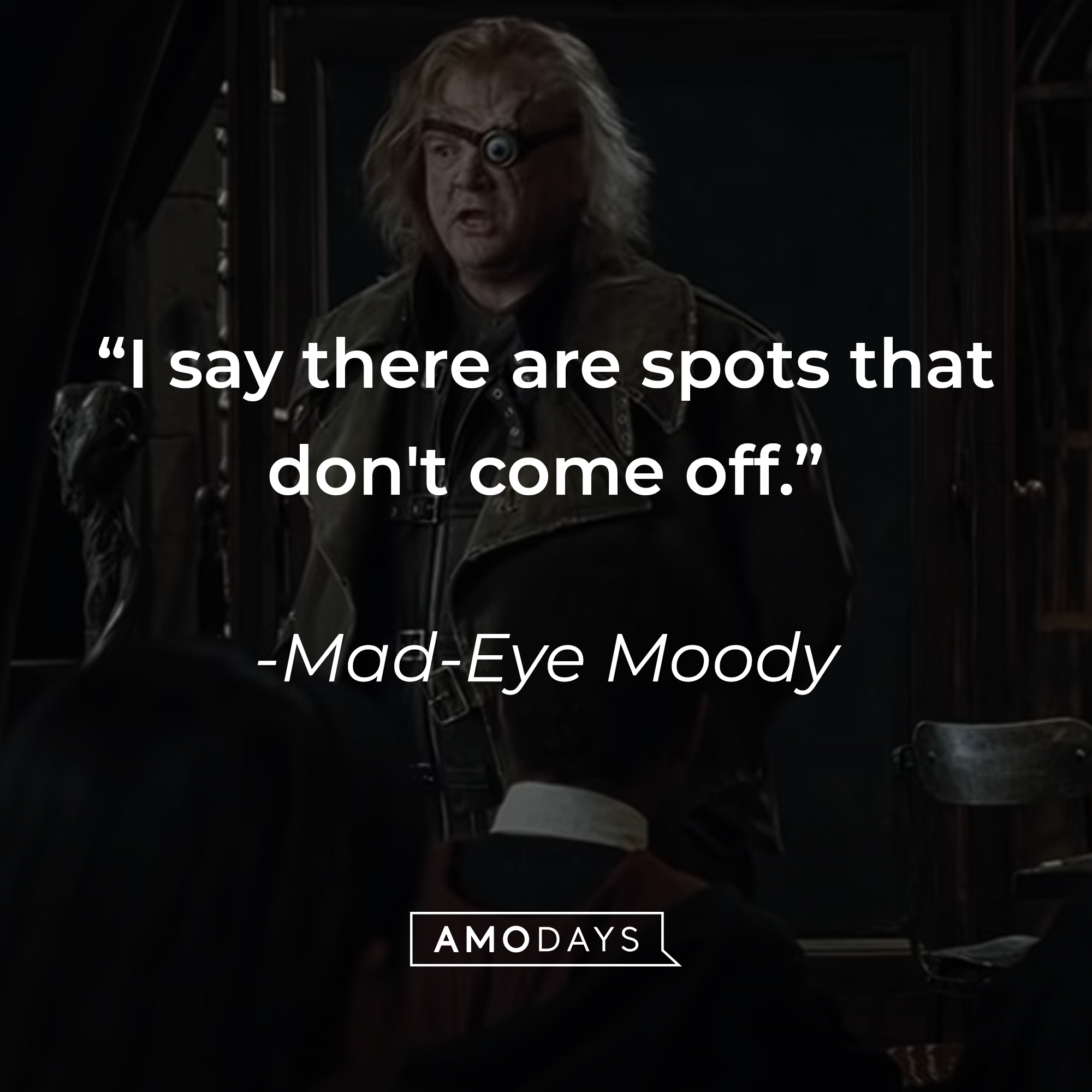 Mad-Eye Moody's quote: "I say there are spots that don't come off." | Source: youtube.com/harrypotter