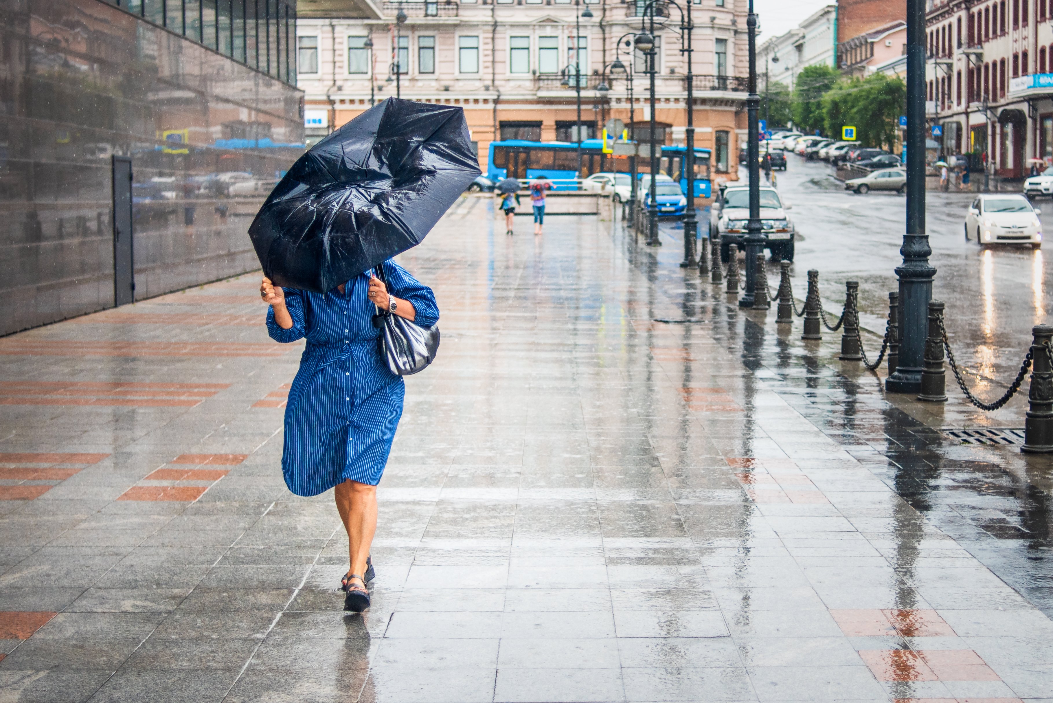 One day there was a big thunderstorm in town and Geraldine was sitting outside. | Source: Shutterstock