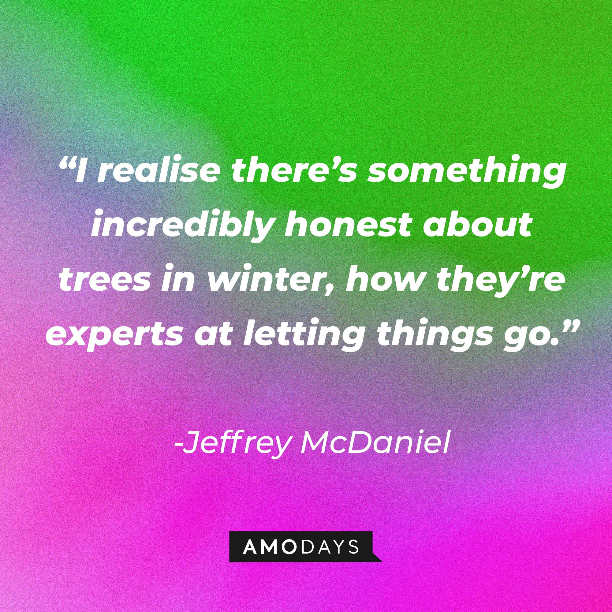 Jeffrey McDaniel's quote: “I realise there’s something incredibly honest about trees in winter, how they’re experts at letting things go.” | Image: AmoDays