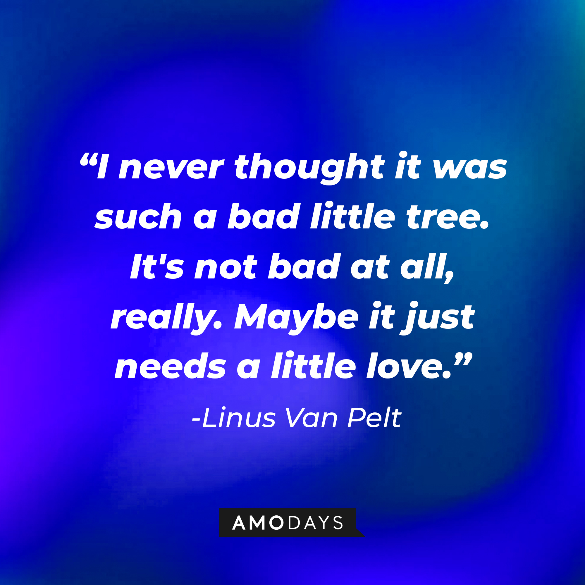 Linus Van Pelt" quote: "I never thought it was such a bad little tree. It's not bad at all, really. Maybe it just needs a little love." | Source: Amodays