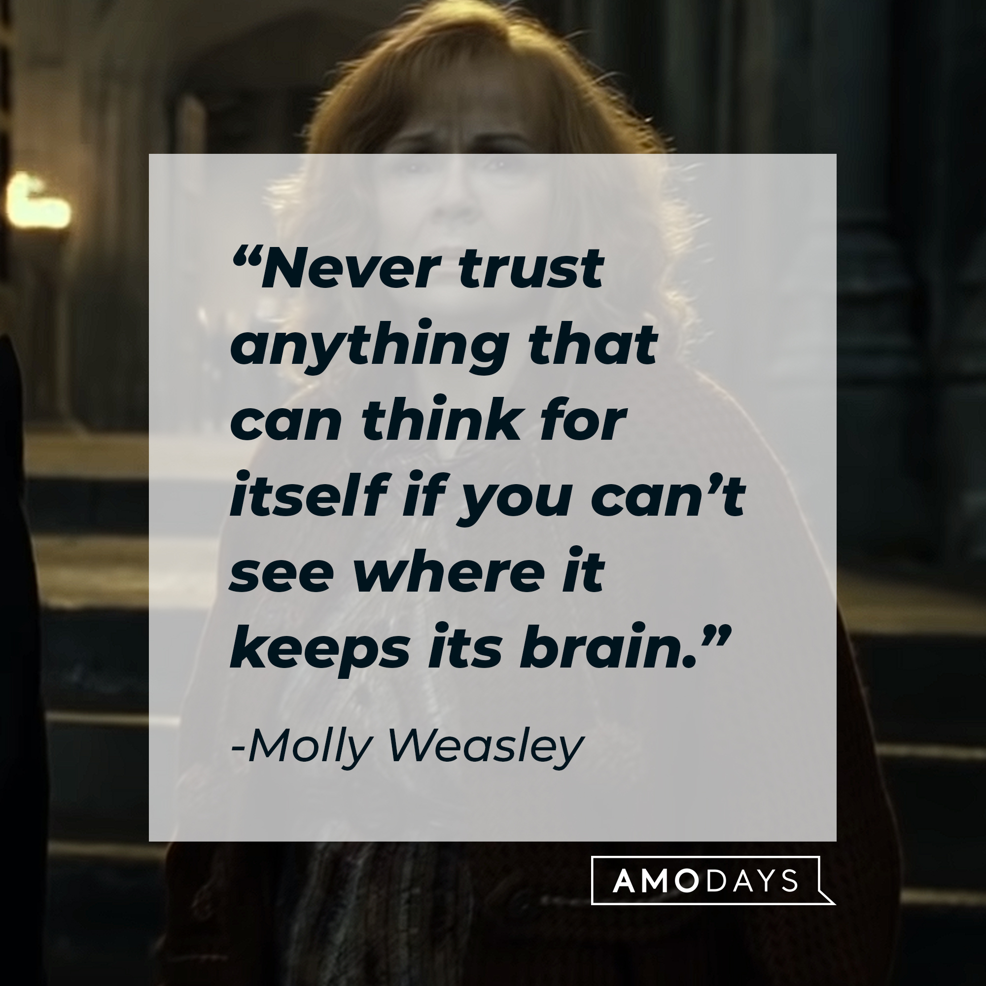 Molly Weasley's quote: "Never trust anything that can think for itself if you can’t see where it keeps its brain." | Source: Youtube.com/harrypotter