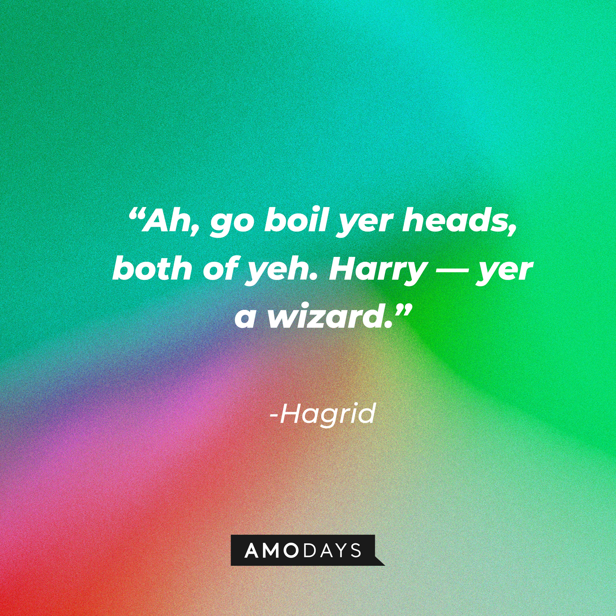 Hagrid's quote: "Ah, go boil yer heads, both of yeh. Harry—yer a wizard."| Source: AmoDays