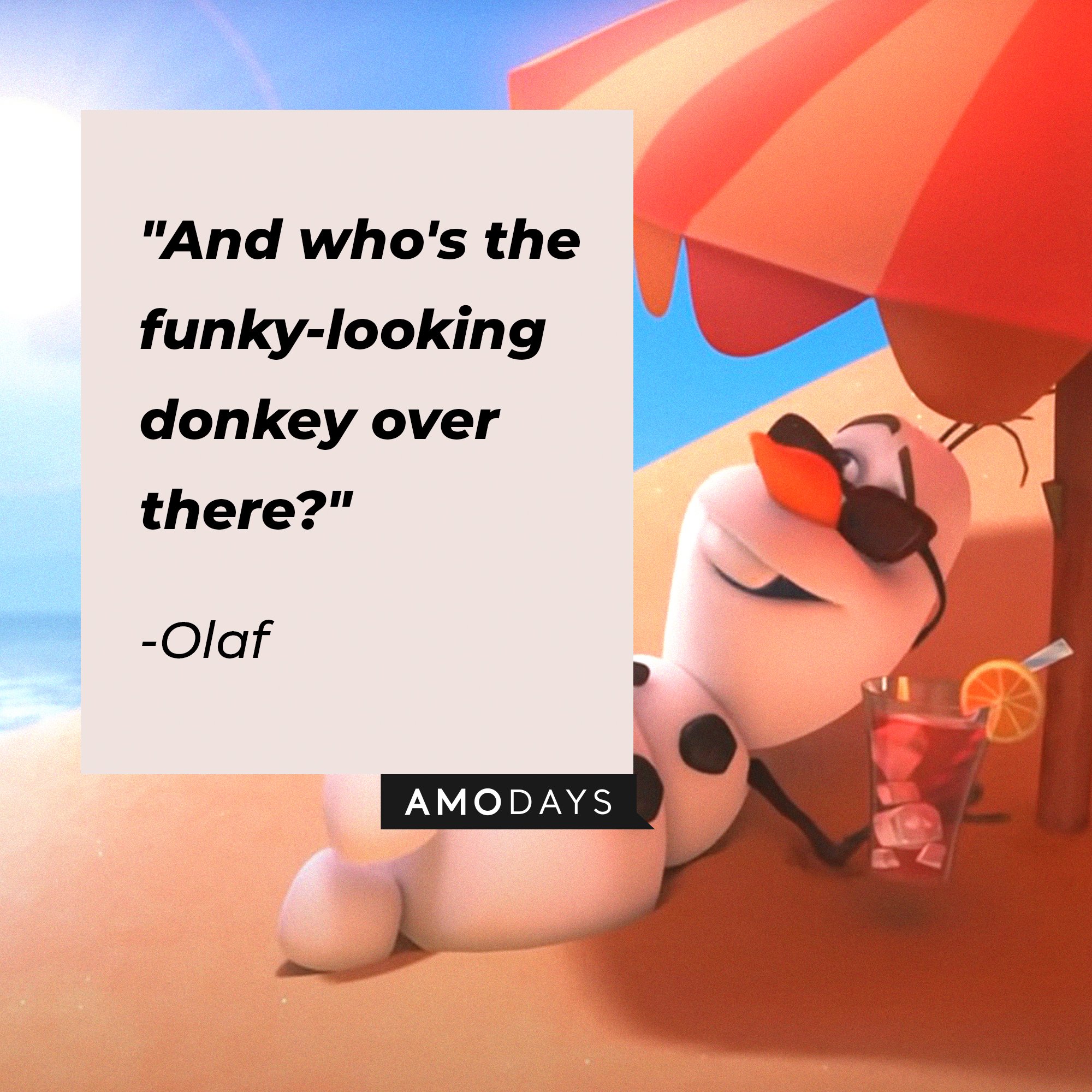 Olaf’s quote: "And who's the funky-looking donkey over there?" | Image: AmoDays