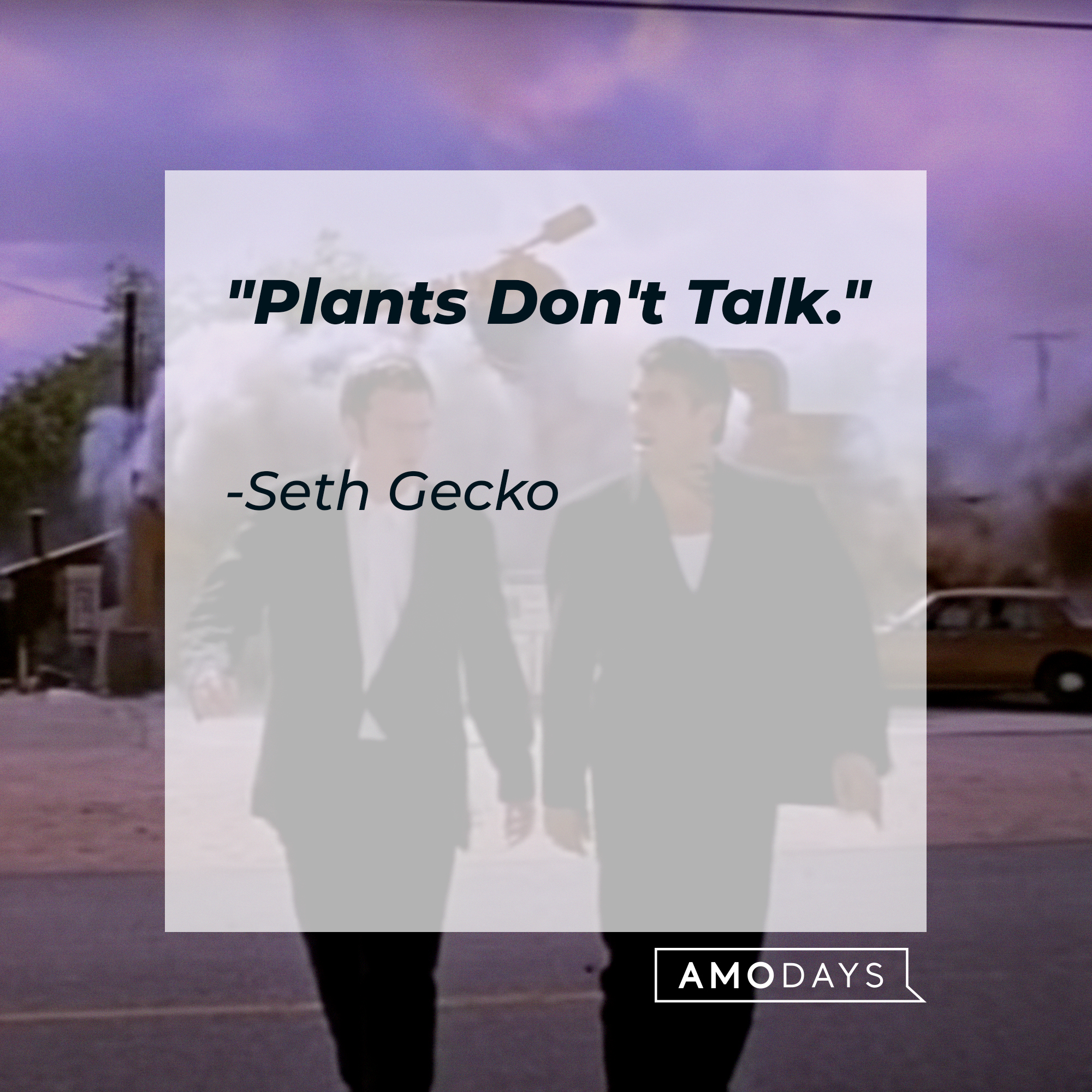 Seth Gecko's quote: "Plants Don't Talk." | Source: youtube.com/miramax