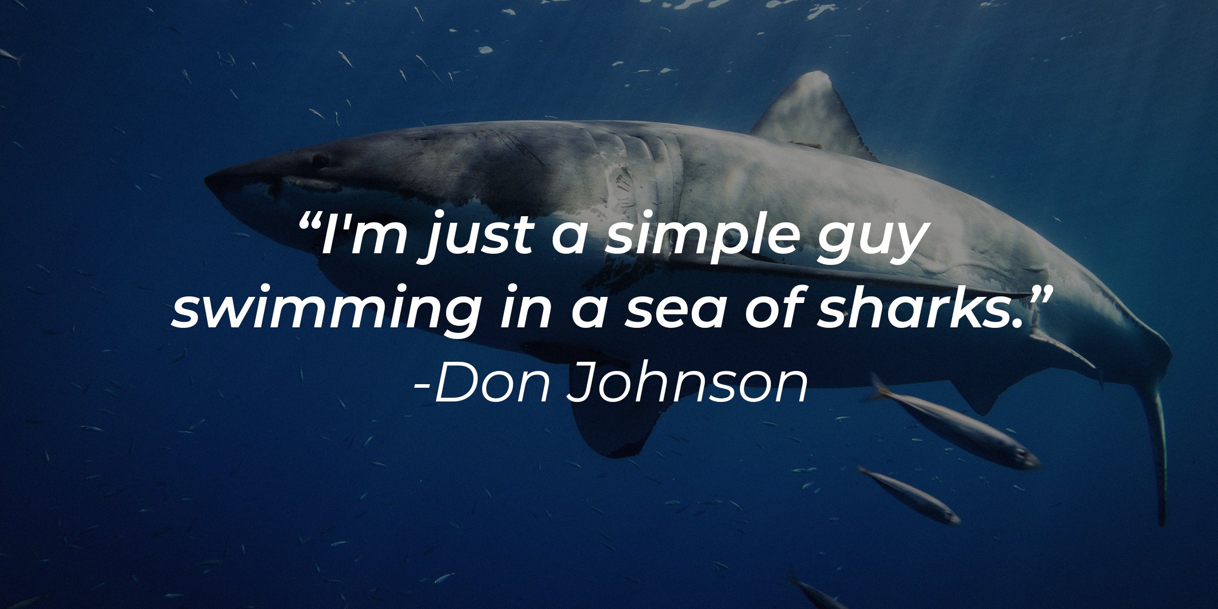 Unsplash | Don Johnson's quote: “I'm just a simple guy swimming in a sea of sharks.” | Image: AmoDays