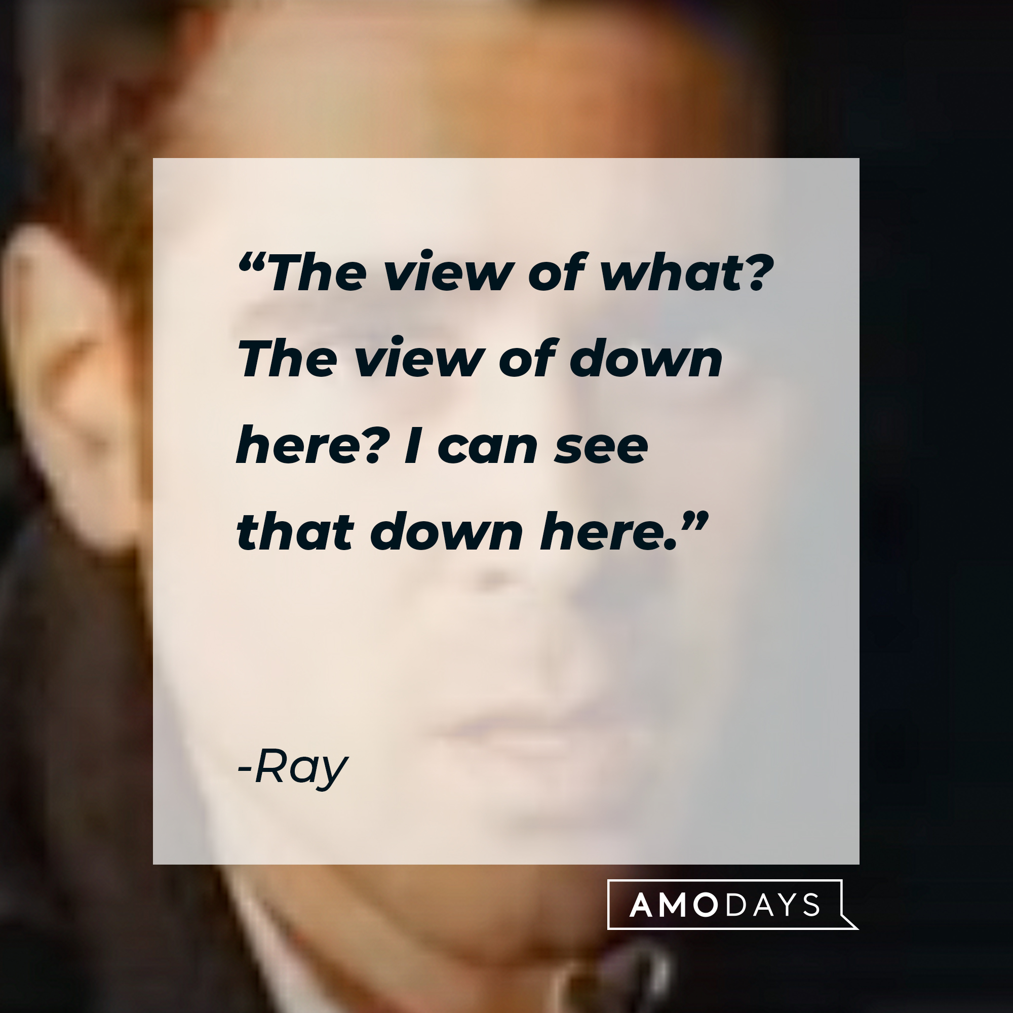 Ray, with his quote: "The view of what? The view of down here? I can see that down here.” | Source: Youtube.com/FocusFeatures