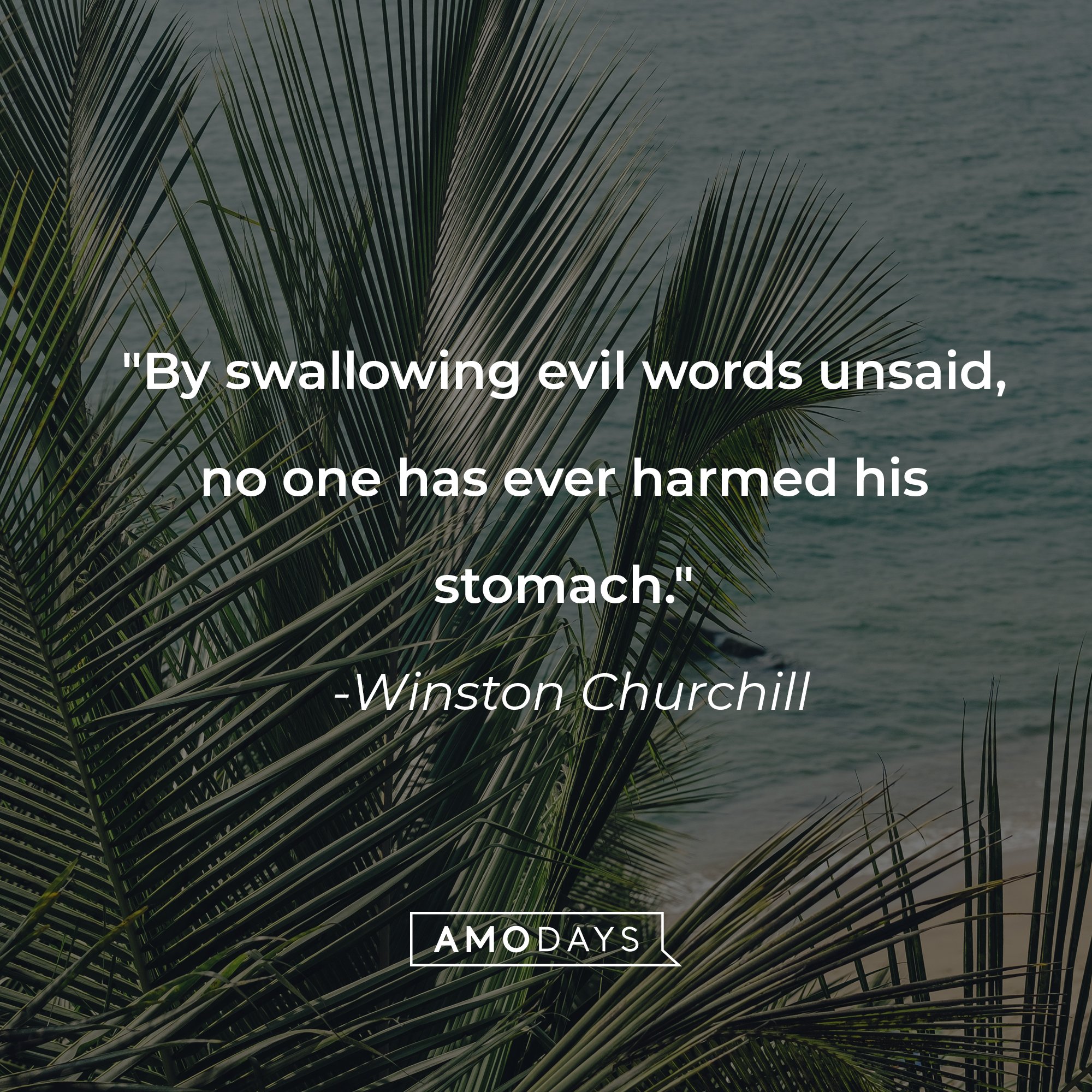 Winston Churchill's quote: "By swallowing evil words unsaid, no one has ever harmed his stomach." | Image: AmoDays