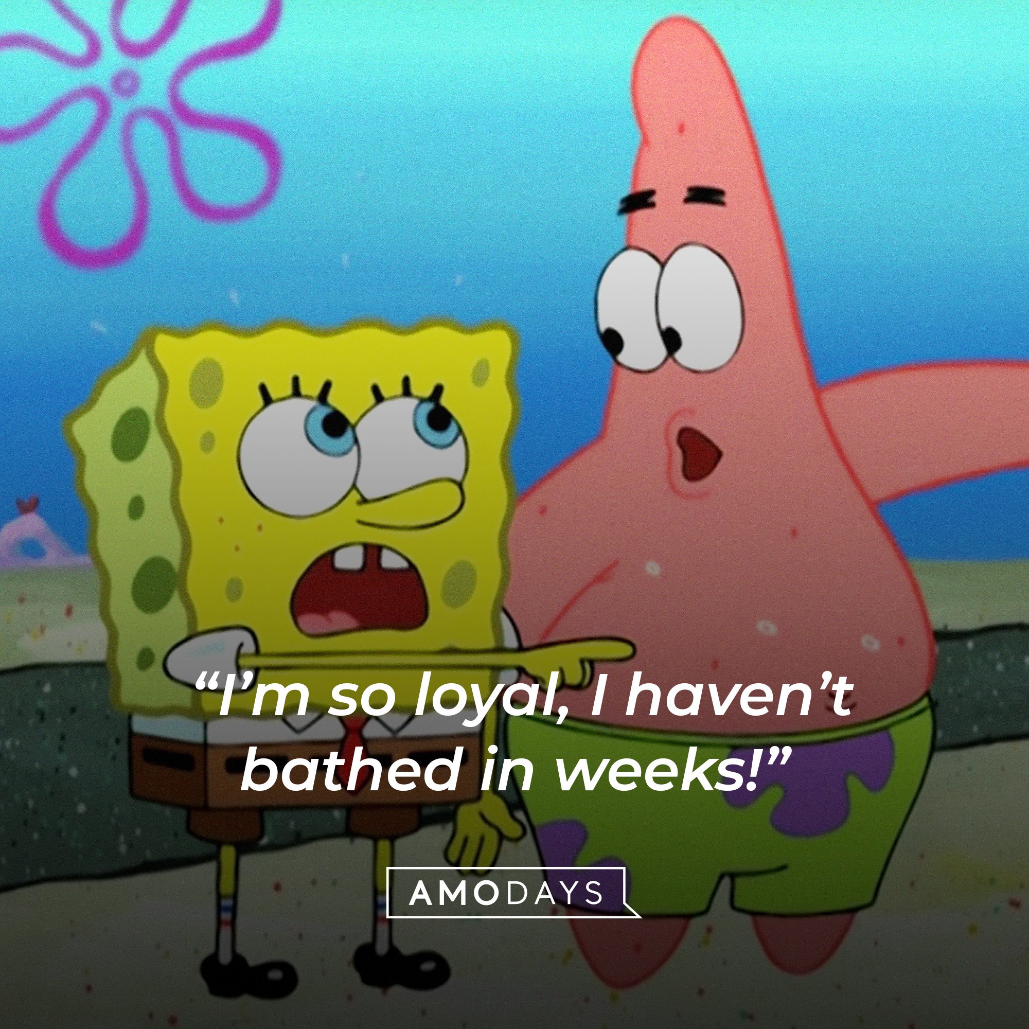 Patrick Star’s quote: “I’m so loyal, I haven’t bathed in weeks!” | Image: AmoDays