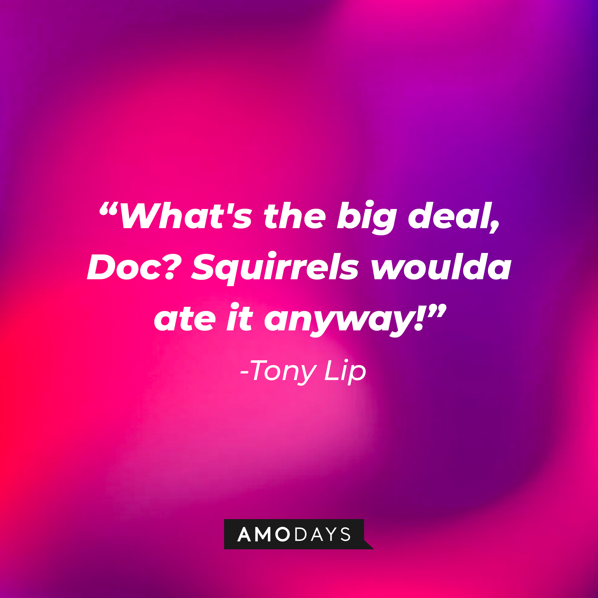 Tony Lip's quote: “What's the big deal, Doc? Squirrels woulda ate it anyway!” | Source: Amodays