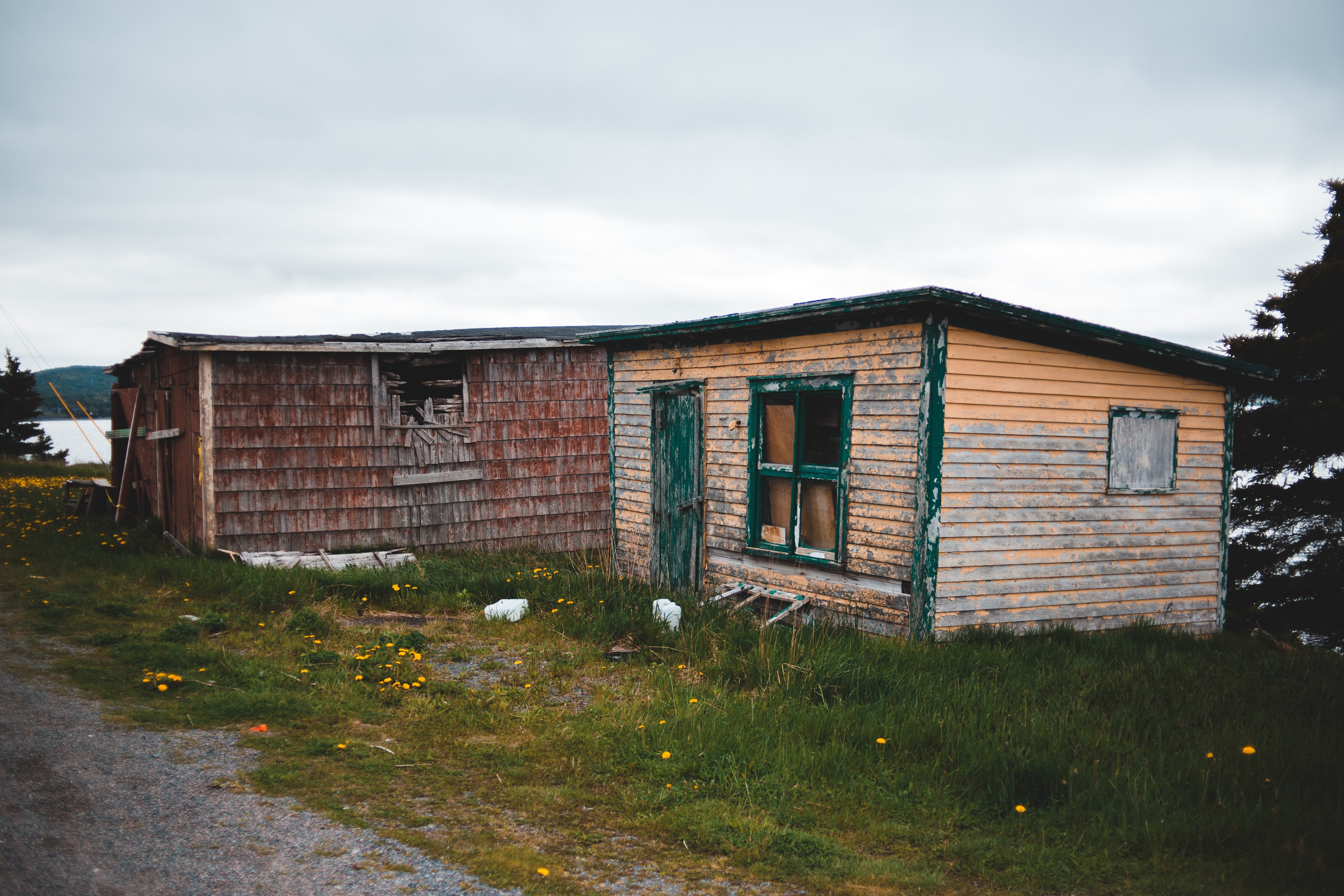 Eleanor lived in a dark and dingy cottage. | Source: Pexels