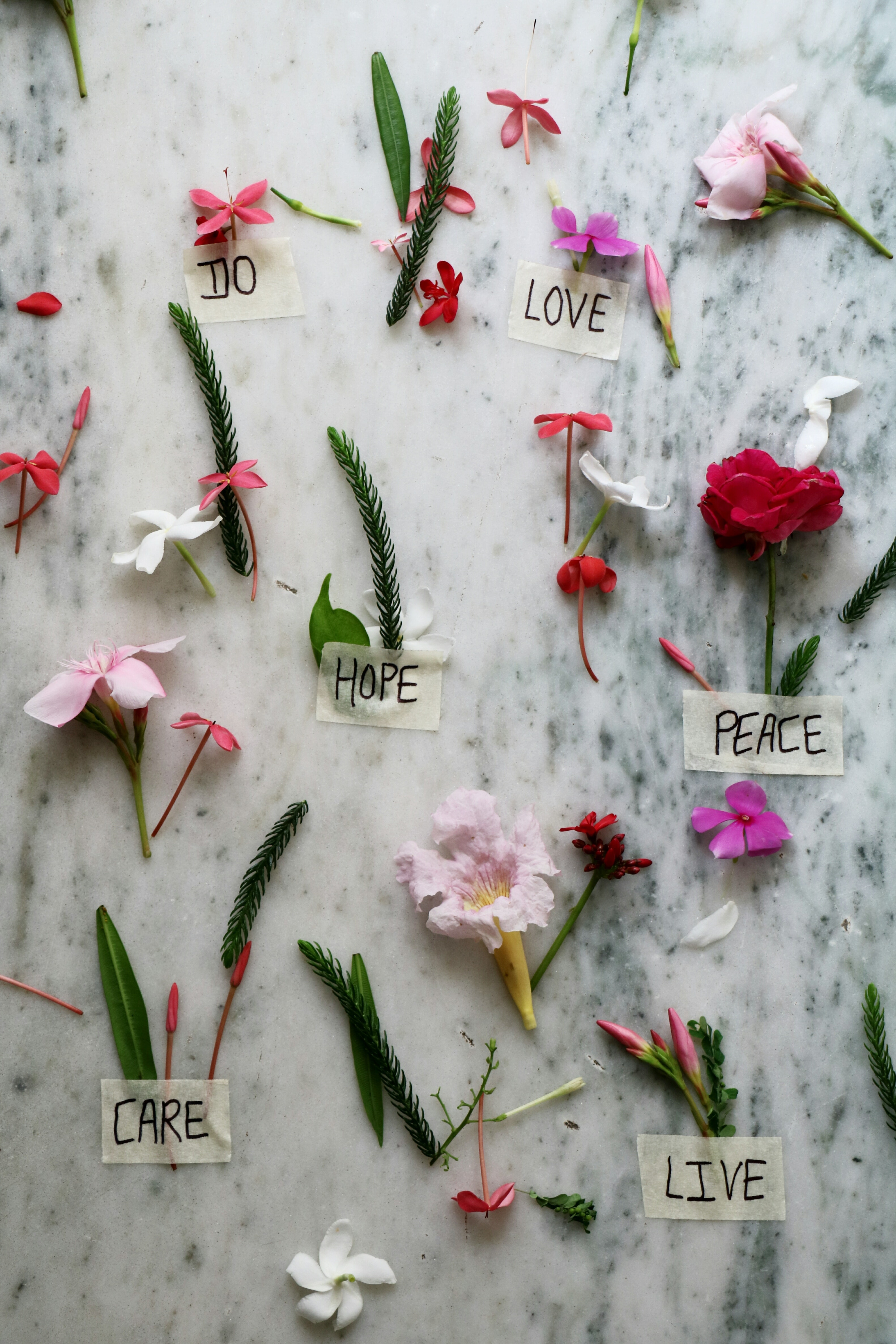 Flowers with words taped to them. | Source: Pexels