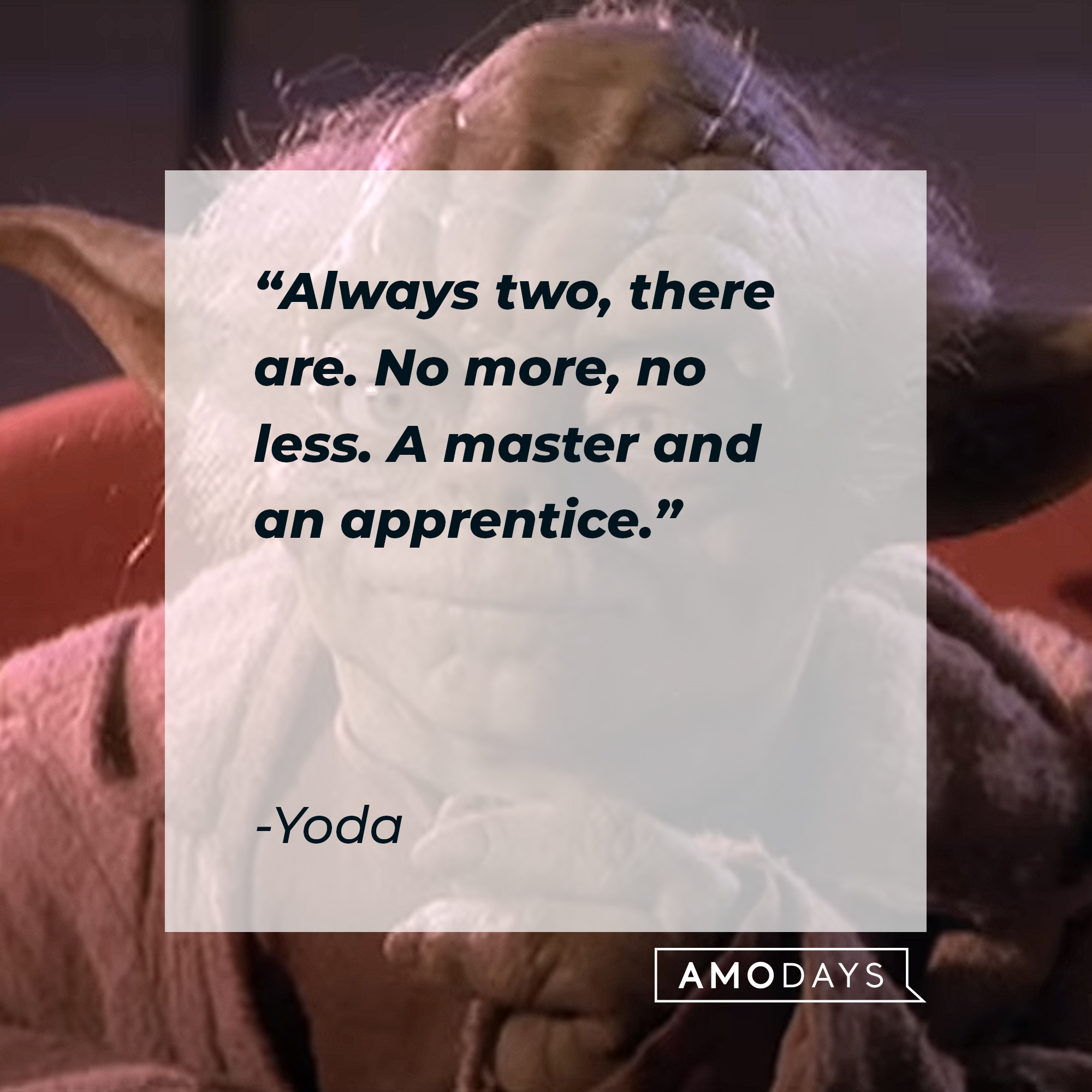 Yoda with his quote: "Always two, there are. No more, no less. A master and an apprentice." | Source: Youtube/StarWars