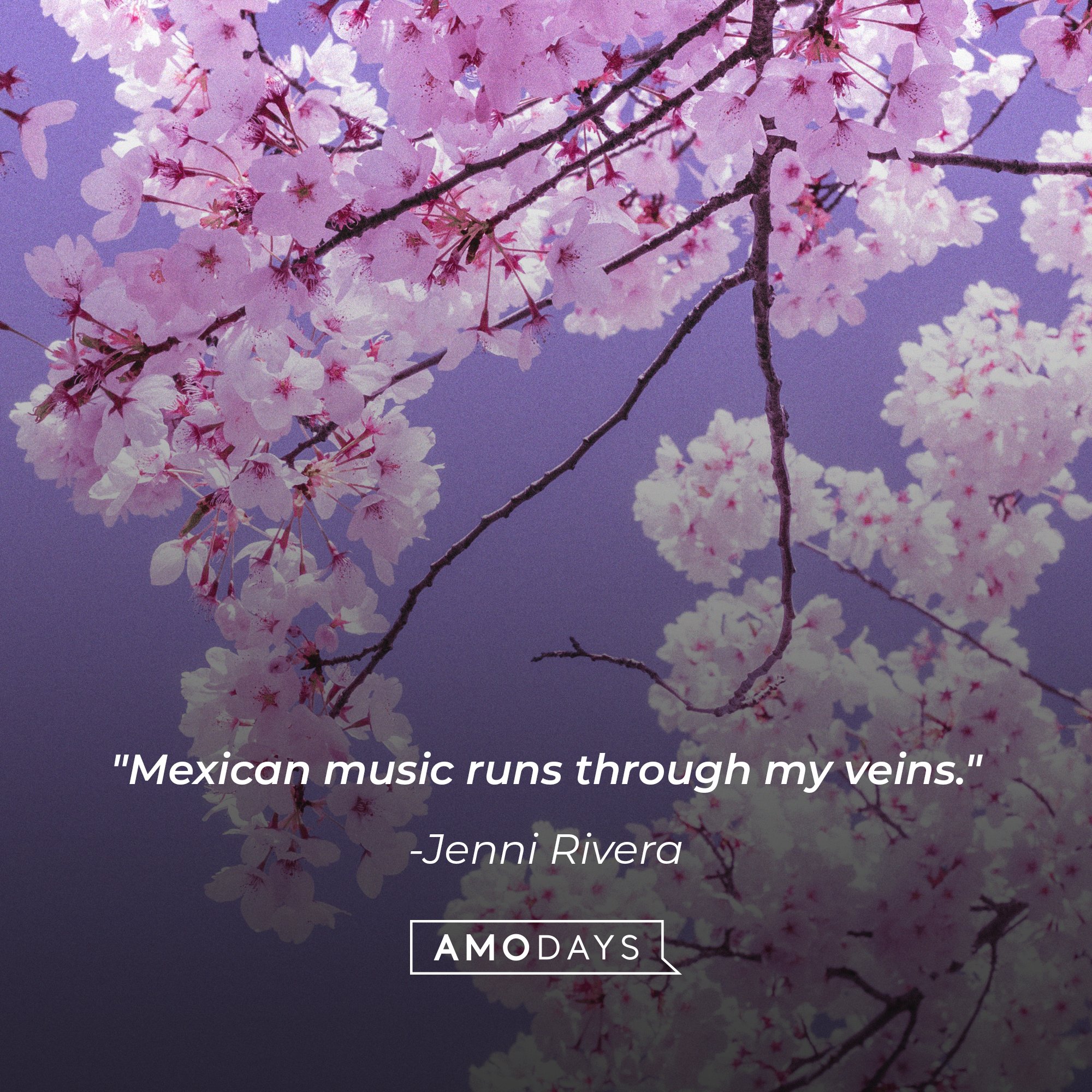 Jenni Rivera’s quote: “Mexican music runs through my veins.” | Image: AmoDays