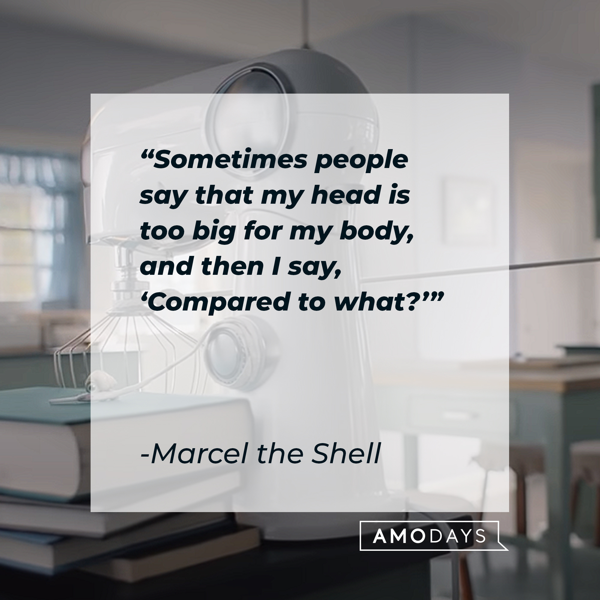 Marcel the Shell's quote: "Sometimes people say that my head is too big for my body, and then I say, 'Compared to what?'" | Source: youtube.com/A24
