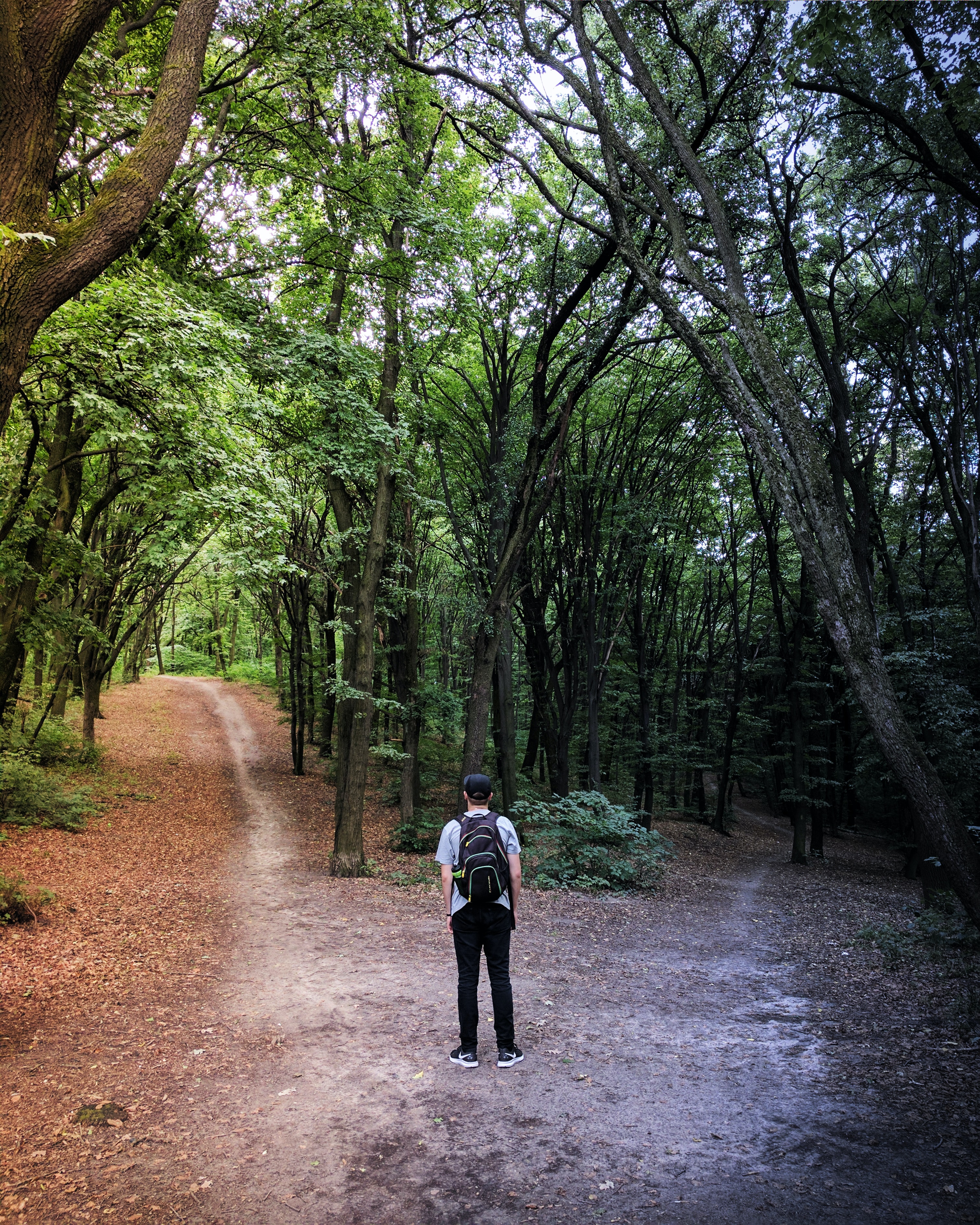 A man at a fork in the road. | Source: Unsplash