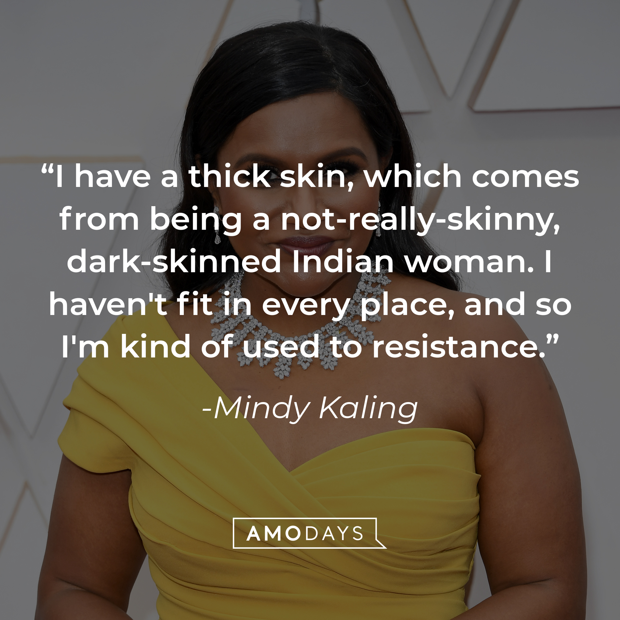 Mindy Kaling's quote: "I have a thick skin, which comes from being a not-really-skinny, dark-skinned Indian woman. I haven't fit in every place, and so I'm kind of used to resistance." | Source: Getty Images
