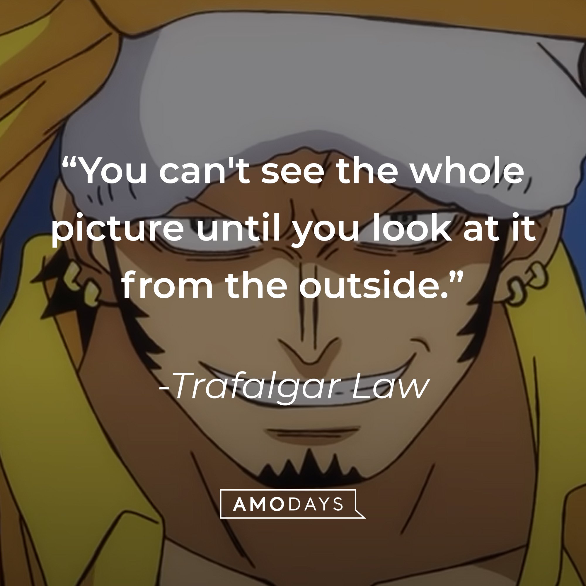 Trafalgar Law’s quote: "You can't see the whole picture until you look at it from the outside." | Image: AmoDays