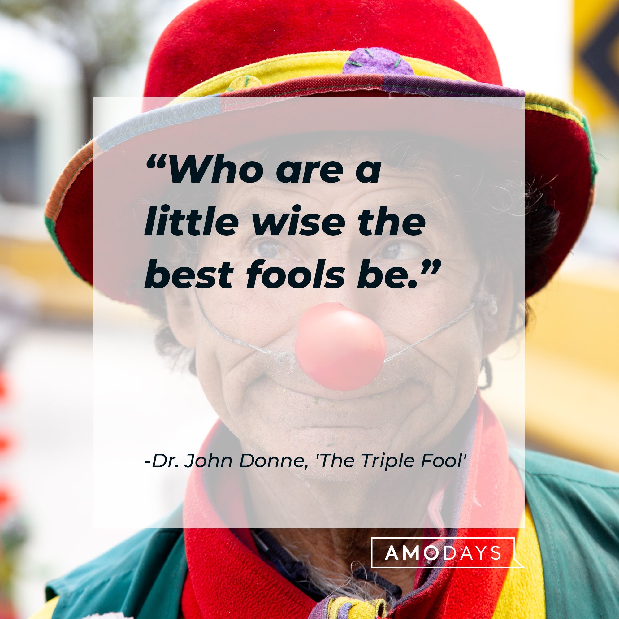 Dr. John Donne's quote "Who are a little wise the best fools be." | Source: Unsplash.com